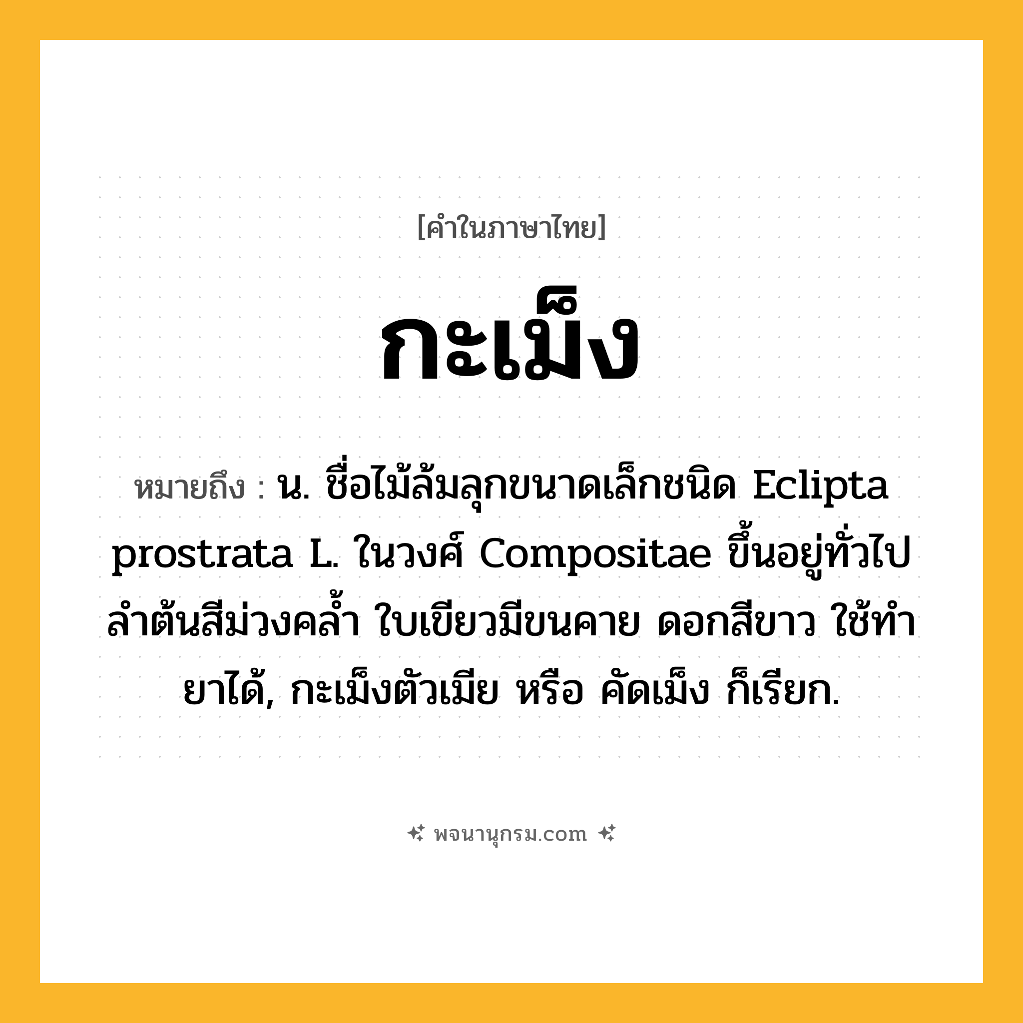 กะเม็ง ความหมาย หมายถึงอะไร?, คำในภาษาไทย กะเม็ง หมายถึง น. ชื่อไม้ล้มลุกขนาดเล็กชนิด Eclipta prostrata L. ในวงศ์ Compositae ขึ้นอยู่ทั่วไป ลําต้นสีม่วงคลํ้า ใบเขียวมีขนคาย ดอกสีขาว ใช้ทํายาได้, กะเม็งตัวเมีย หรือ คัดเม็ง ก็เรียก.