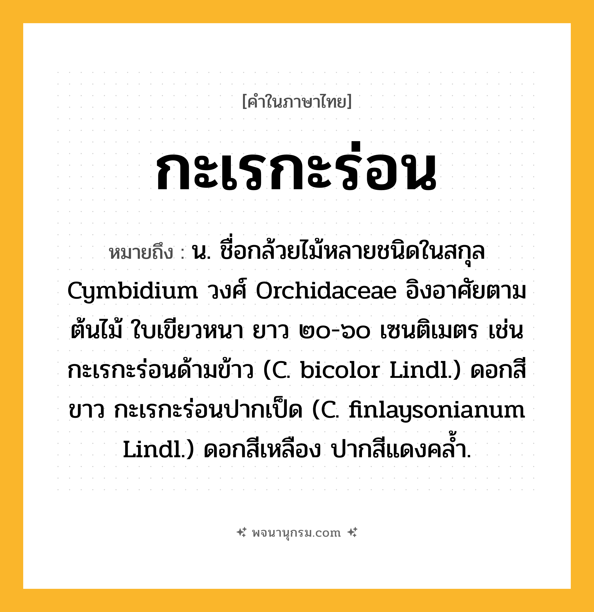 กะเรกะร่อน ความหมาย หมายถึงอะไร?, คำในภาษาไทย กะเรกะร่อน หมายถึง น. ชื่อกล้วยไม้หลายชนิดในสกุล Cymbidium วงศ์ Orchidaceae อิงอาศัยตามต้นไม้ ใบเขียวหนา ยาว ๒๐-๖๐ เซนติเมตร เช่น กะเรกะร่อนด้ามข้าว (C. bicolor Lindl.) ดอกสีขาว กะเรกะร่อนปากเป็ด (C. finlaysonianum Lindl.) ดอกสีเหลือง ปากสีแดงคลํ้า.