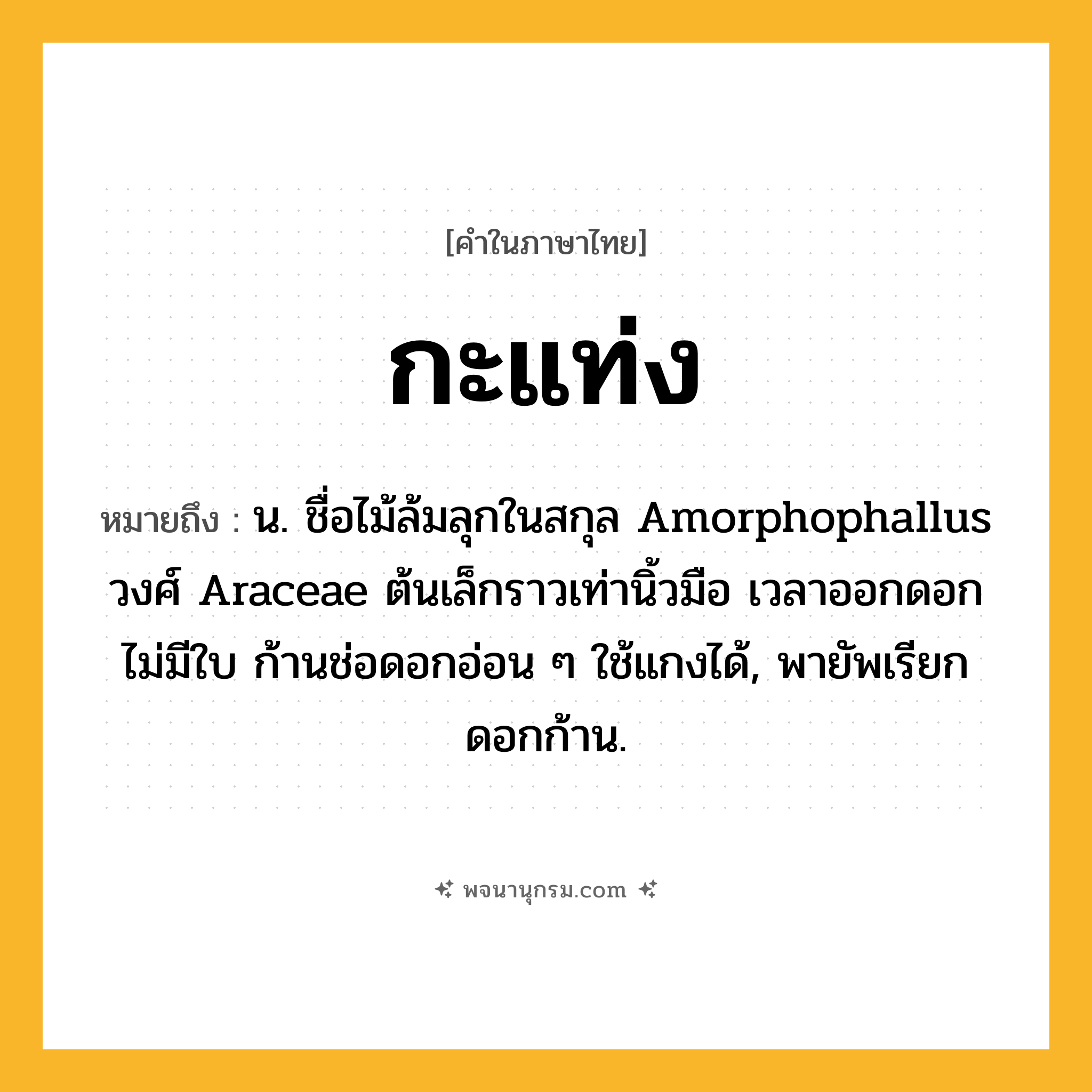 กะแท่ง ความหมาย หมายถึงอะไร?, คำในภาษาไทย กะแท่ง หมายถึง น. ชื่อไม้ล้มลุกในสกุล Amorphophallus วงศ์ Araceae ต้นเล็กราวเท่านิ้วมือ เวลาออกดอกไม่มีใบ ก้านช่อดอกอ่อน ๆ ใช้แกงได้, พายัพเรียก ดอกก้าน.