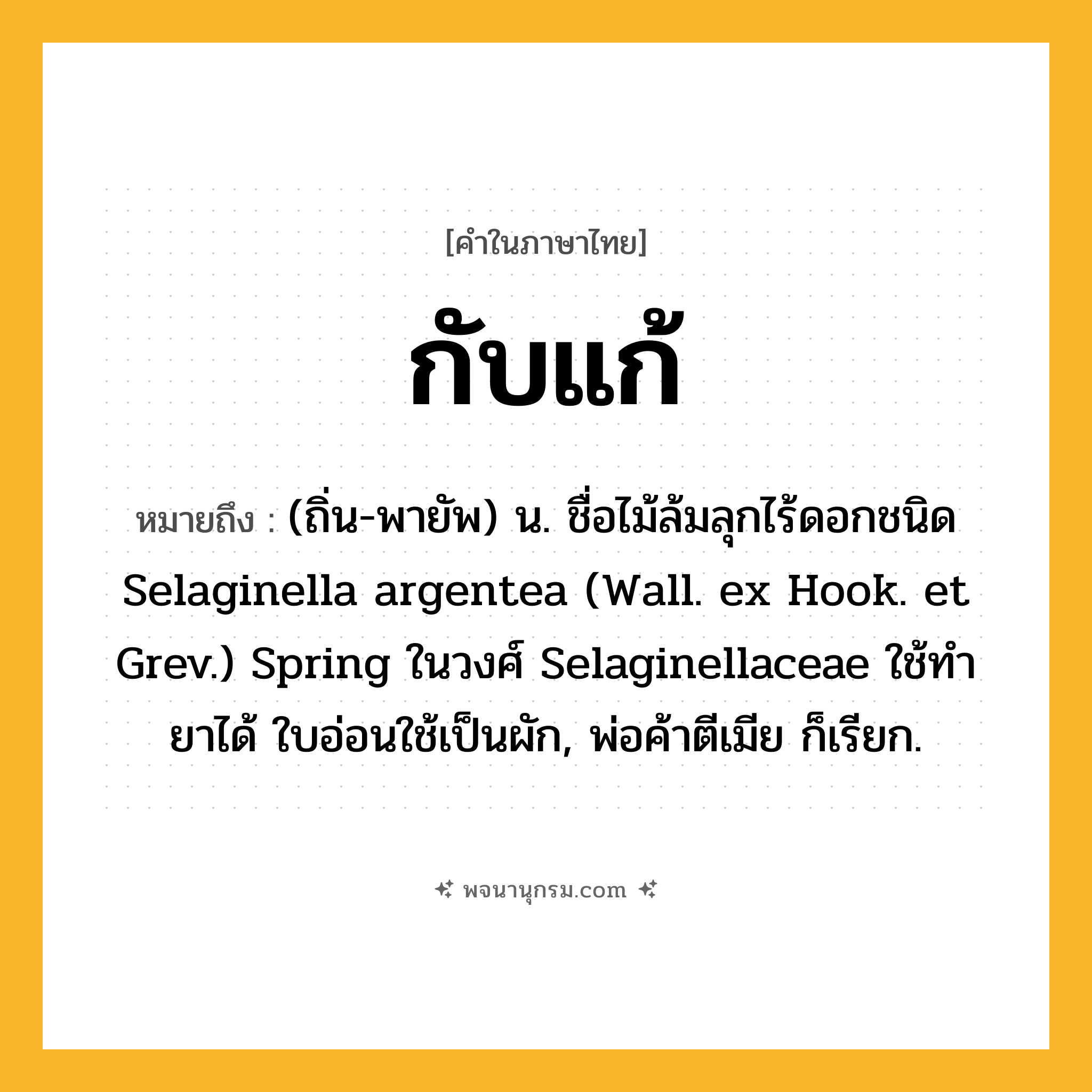 กับแก้ ความหมาย หมายถึงอะไร?, คำในภาษาไทย กับแก้ หมายถึง (ถิ่น-พายัพ) น. ชื่อไม้ล้มลุกไร้ดอกชนิด Selaginella argentea (Wall. ex Hook. et Grev.) Spring ในวงศ์ Selaginellaceae ใช้ทำยาได้ ใบอ่อนใช้เป็นผัก, พ่อค้าตีเมีย ก็เรียก.