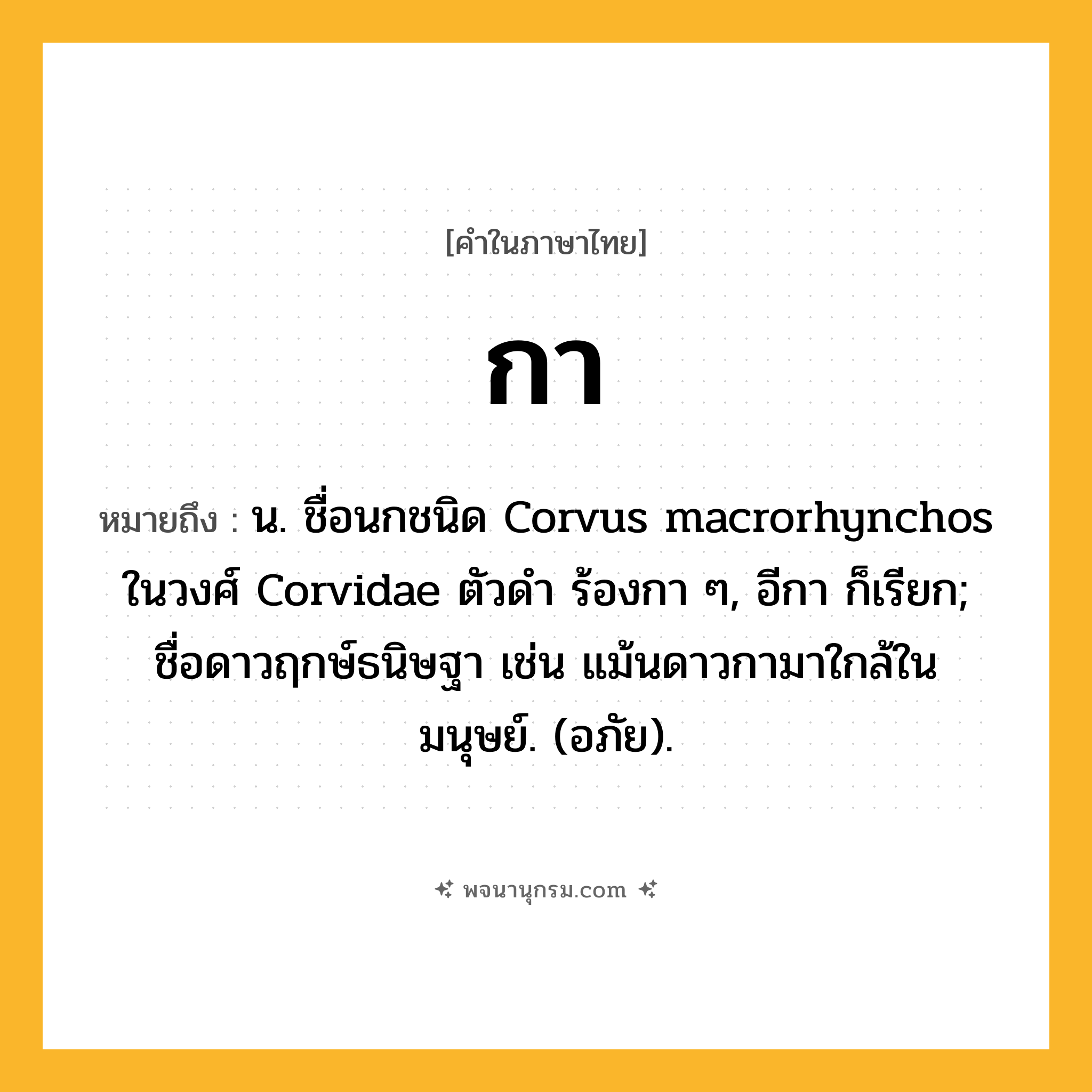 กา ความหมาย หมายถึงอะไร?, คำในภาษาไทย กา หมายถึง น. ชื่อนกชนิด Corvus macrorhynchos ในวงศ์ Corvidae ตัวดํา ร้องกา ๆ, อีกา ก็เรียก; ชื่อดาวฤกษ์ธนิษฐา เช่น แม้นดาวกามาใกล้ในมนุษย์. (อภัย).