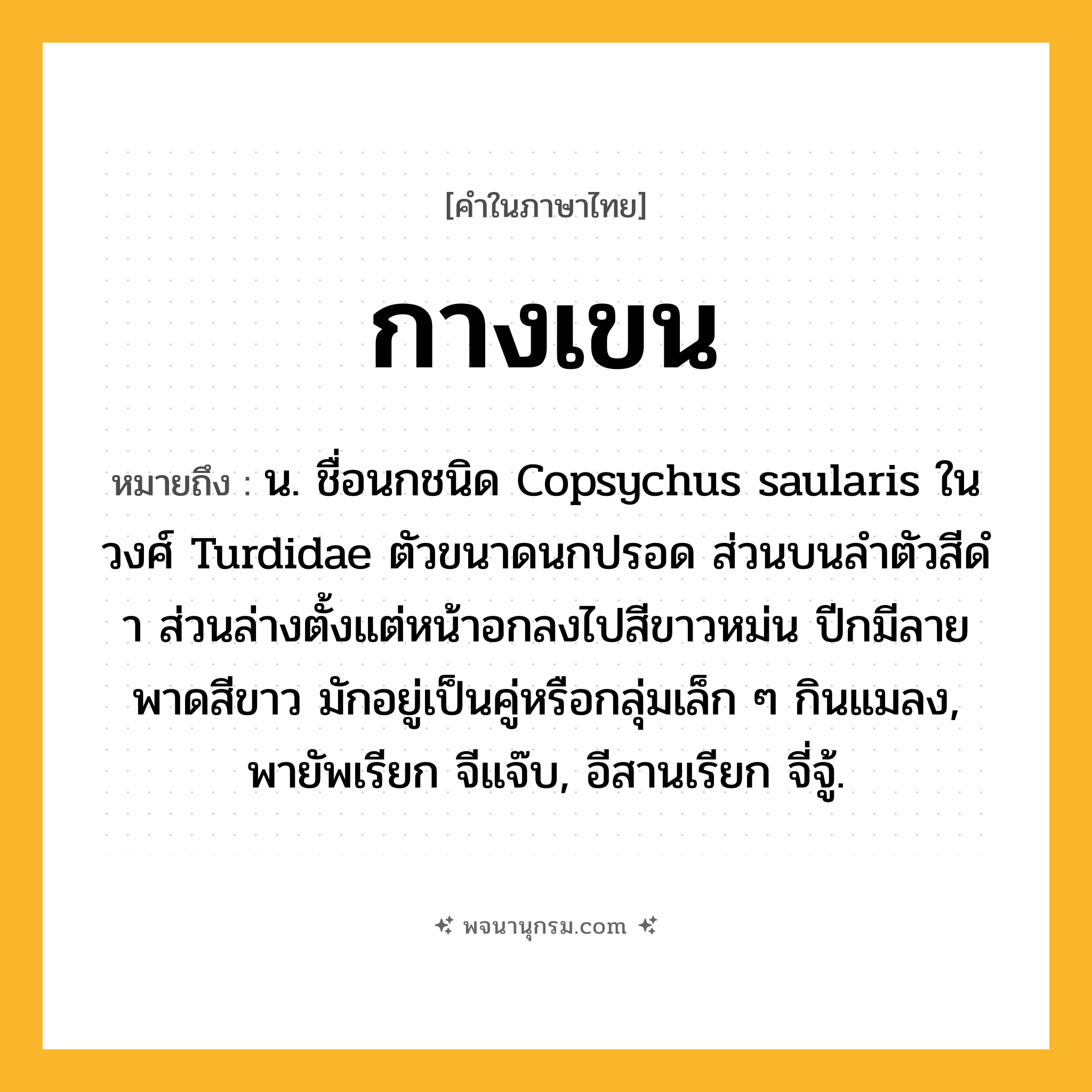 กางเขน ความหมาย หมายถึงอะไร?, คำในภาษาไทย กางเขน หมายถึง น. ชื่อนกชนิด Copsychus saularis ในวงศ์ Turdidae ตัวขนาดนกปรอด ส่วนบนลําตัวสีดํา ส่วนล่างตั้งแต่หน้าอกลงไปสีขาวหม่น ปีกมีลายพาดสีขาว มักอยู่เป็นคู่หรือกลุ่มเล็ก ๆ กินแมลง, พายัพเรียก จีแจ๊บ, อีสานเรียก จี่จู้.