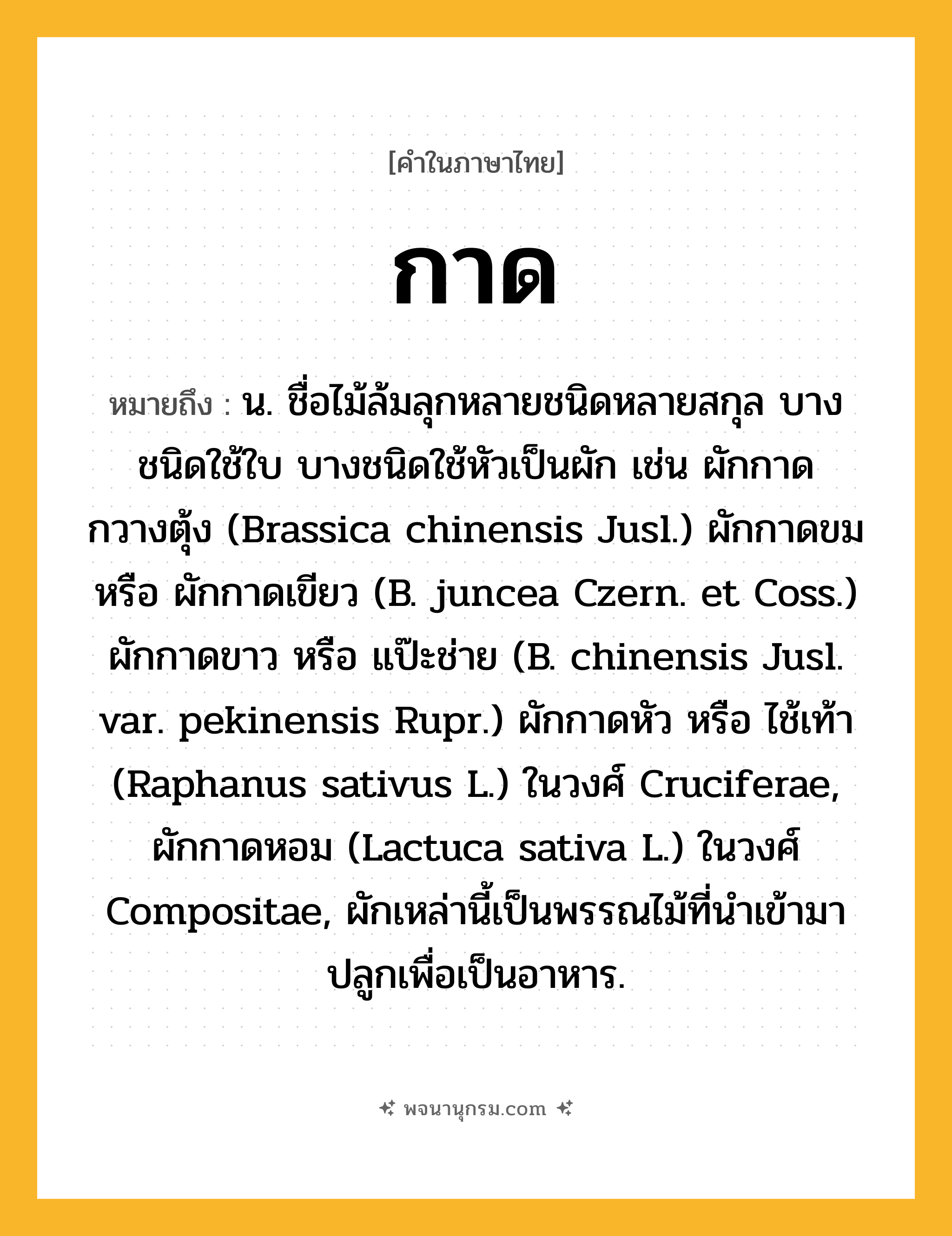 กาด ความหมาย หมายถึงอะไร?, คำในภาษาไทย กาด หมายถึง น. ชื่อไม้ล้มลุกหลายชนิดหลายสกุล บางชนิดใช้ใบ บางชนิดใช้หัวเป็นผัก เช่น ผักกาดกวางตุ้ง (Brassica chinensis Jusl.) ผักกาดขม หรือ ผักกาดเขียว (B. juncea Czern. et Coss.) ผักกาดขาว หรือ แป๊ะช่าย (B. chinensis Jusl. var. pekinensis Rupr.) ผักกาดหัว หรือ ไช้เท้า (Raphanus sativus L.) ในวงศ์ Cruciferae, ผักกาดหอม (Lactuca sativa L.) ในวงศ์ Compositae, ผักเหล่านี้เป็นพรรณไม้ที่นําเข้ามาปลูกเพื่อเป็นอาหาร.