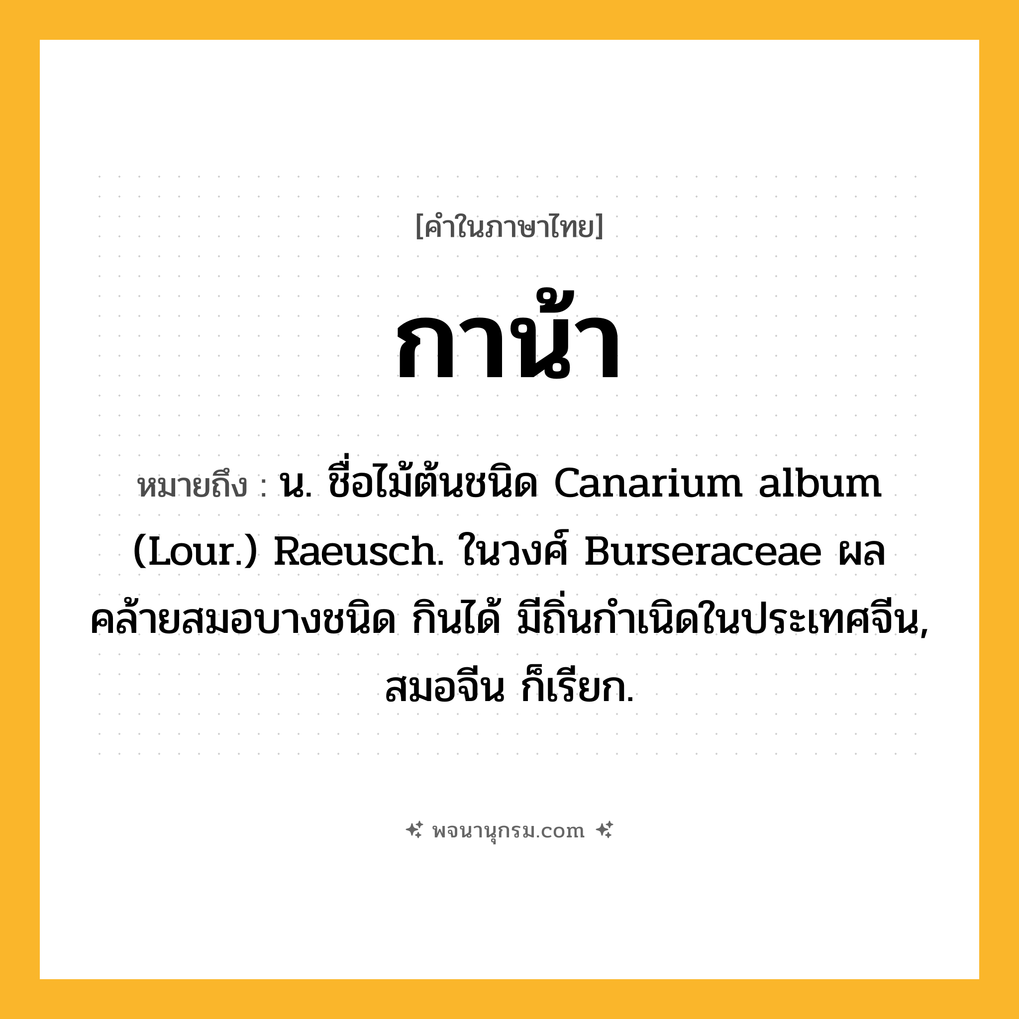 กาน้า ความหมาย หมายถึงอะไร?, คำในภาษาไทย กาน้า หมายถึง น. ชื่อไม้ต้นชนิด Canarium album (Lour.) Raeusch. ในวงศ์ Burseraceae ผลคล้ายสมอบางชนิด กินได้ มีถิ่นกําเนิดในประเทศจีน, สมอจีน ก็เรียก.