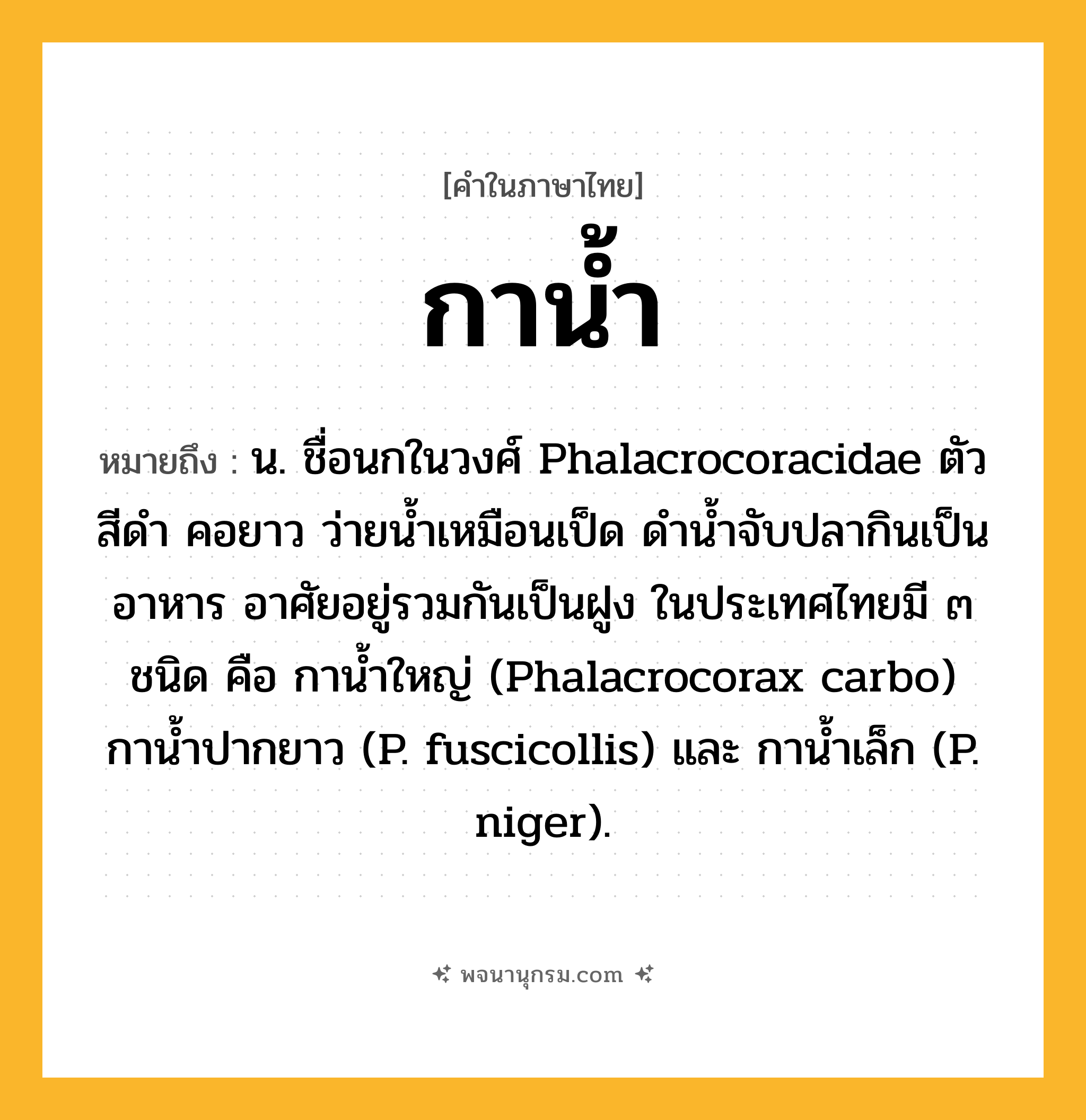 กาน้ำ ความหมาย หมายถึงอะไร?, คำในภาษาไทย กาน้ำ หมายถึง น. ชื่อนกในวงศ์ Phalacrocoracidae ตัวสีดํา คอยาว ว่ายนํ้าเหมือนเป็ด ดํานํ้าจับปลากินเป็นอาหาร อาศัยอยู่รวมกันเป็นฝูง ในประเทศไทยมี ๓ ชนิด คือ กานํ้าใหญ่ (Phalacrocorax carbo) กานํ้าปากยาว (P. fuscicollis) และ กานํ้าเล็ก (P. niger).