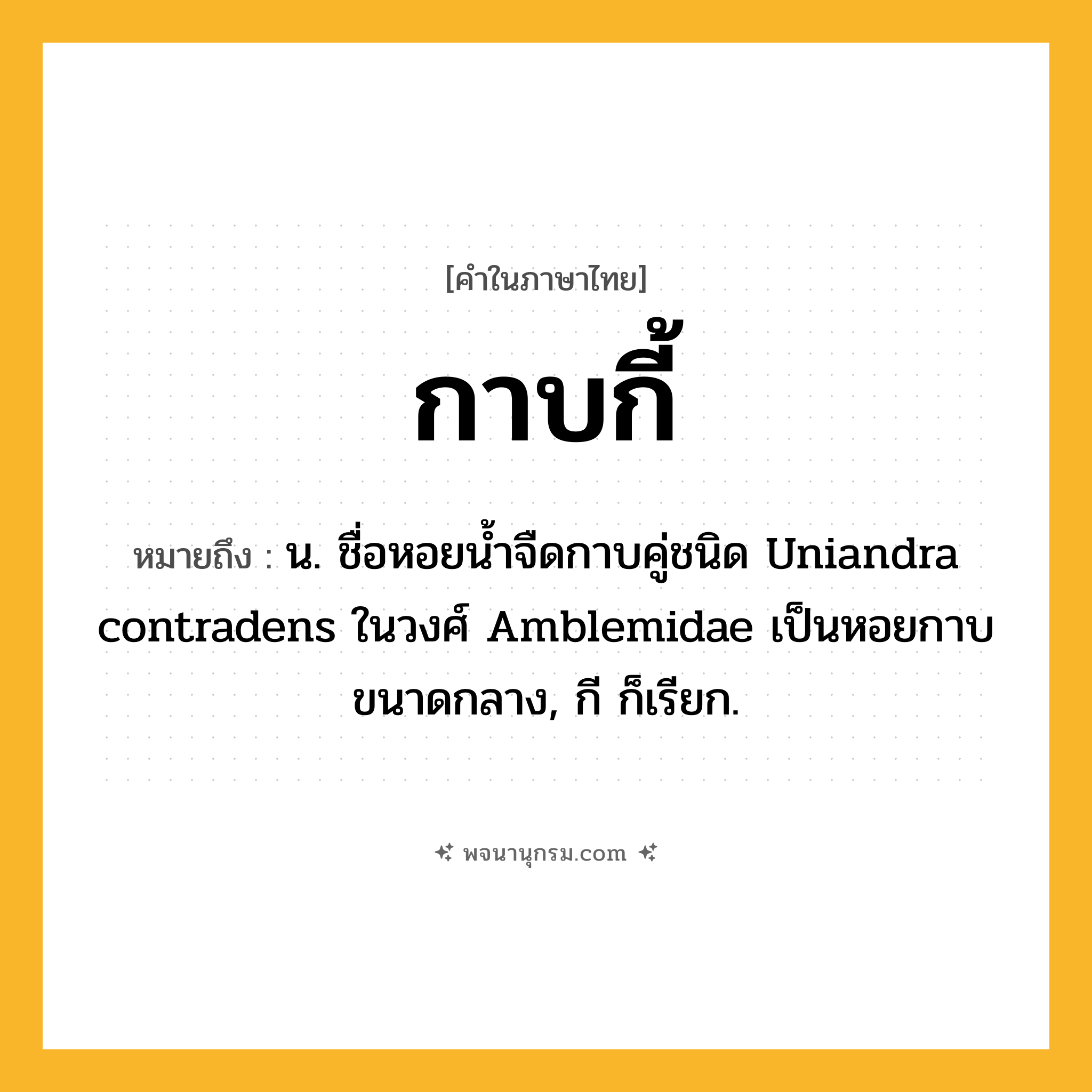 กาบกี้ ความหมาย หมายถึงอะไร?, คำในภาษาไทย กาบกี้ หมายถึง น. ชื่อหอยนํ้าจืดกาบคู่ชนิด Uniandra contradens ในวงศ์ Amblemidae เป็นหอยกาบขนาดกลาง, กี ก็เรียก.