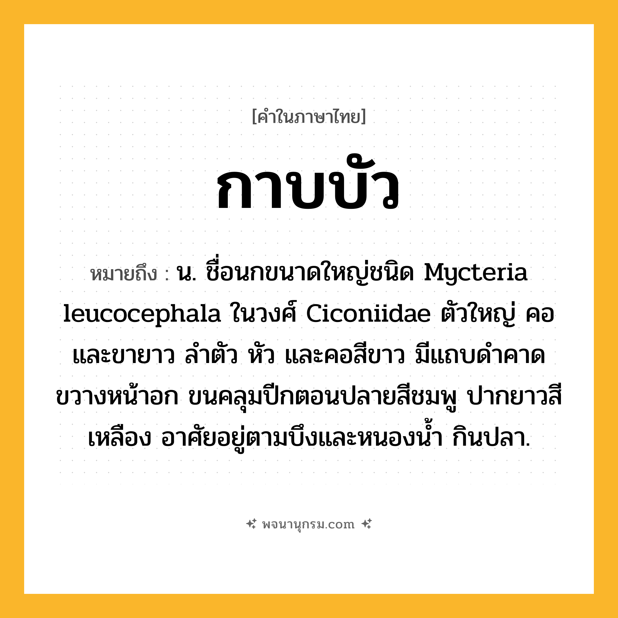 กาบบัว ความหมาย หมายถึงอะไร?, คำในภาษาไทย กาบบัว หมายถึง น. ชื่อนกขนาดใหญ่ชนิด Mycteria leucocephala ในวงศ์ Ciconiidae ตัวใหญ่ คอและขายาว ลําตัว หัว และคอสีขาว มีแถบดําคาดขวางหน้าอก ขนคลุมปีกตอนปลายสีชมพู ปากยาวสีเหลือง อาศัยอยู่ตามบึงและหนองนํ้า กินปลา.