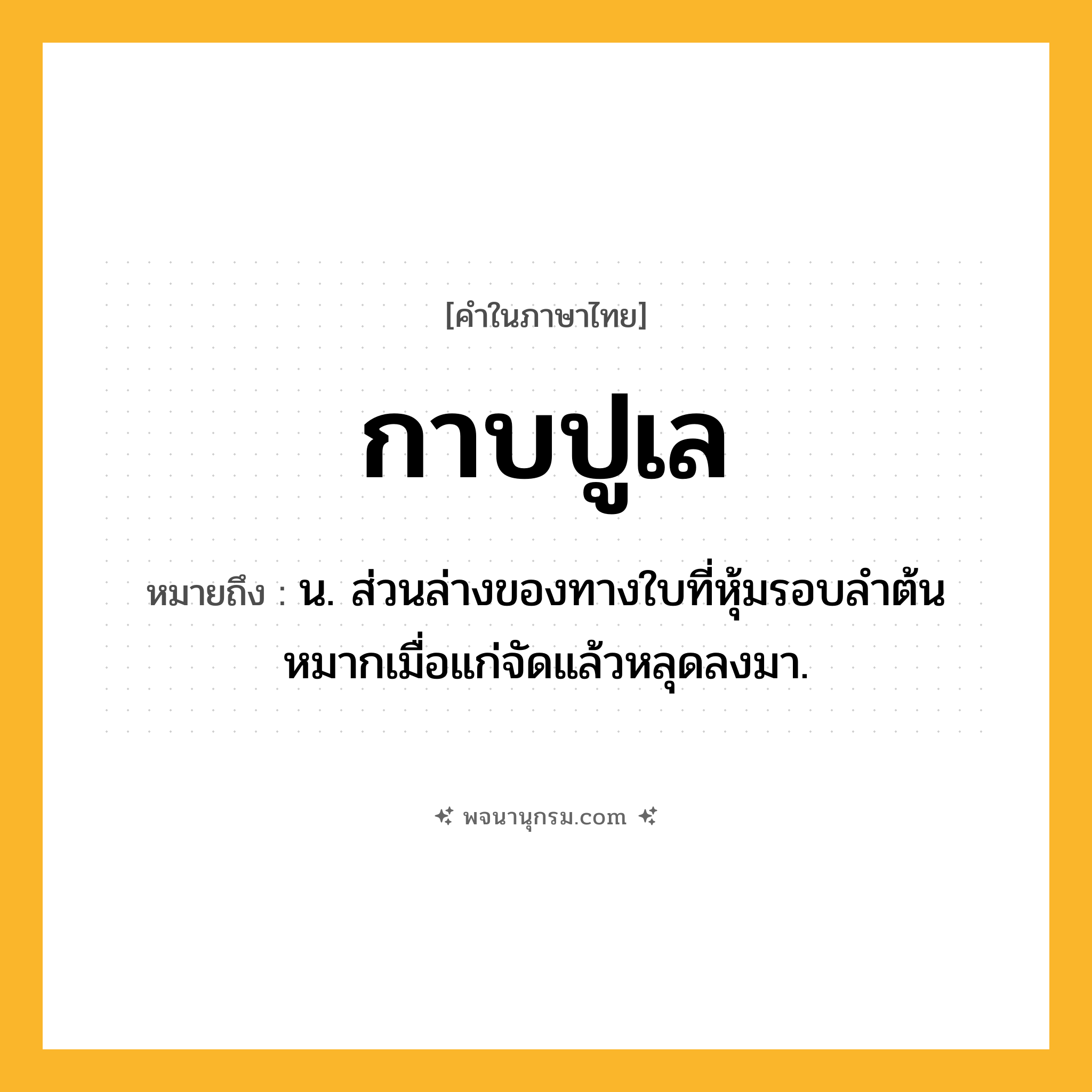 กาบปูเล ความหมาย หมายถึงอะไร?, คำในภาษาไทย กาบปูเล หมายถึง น. ส่วนล่างของทางใบที่หุ้มรอบลําต้นหมากเมื่อแก่จัดแล้วหลุดลงมา.