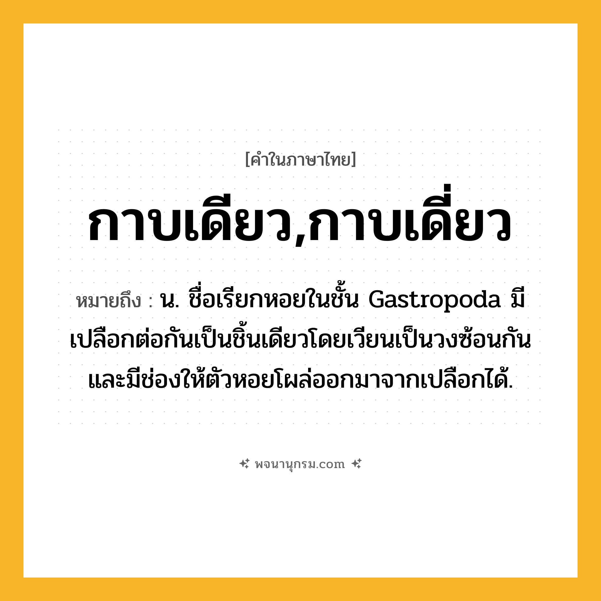 กาบเดียว,กาบเดี่ยว ความหมาย หมายถึงอะไร?, คำในภาษาไทย กาบเดียว,กาบเดี่ยว หมายถึง น. ชื่อเรียกหอยในชั้น Gastropoda มีเปลือกต่อกันเป็นชิ้นเดียวโดยเวียนเป็นวงซ้อนกัน และมีช่องให้ตัวหอยโผล่ออกมาจากเปลือกได้.