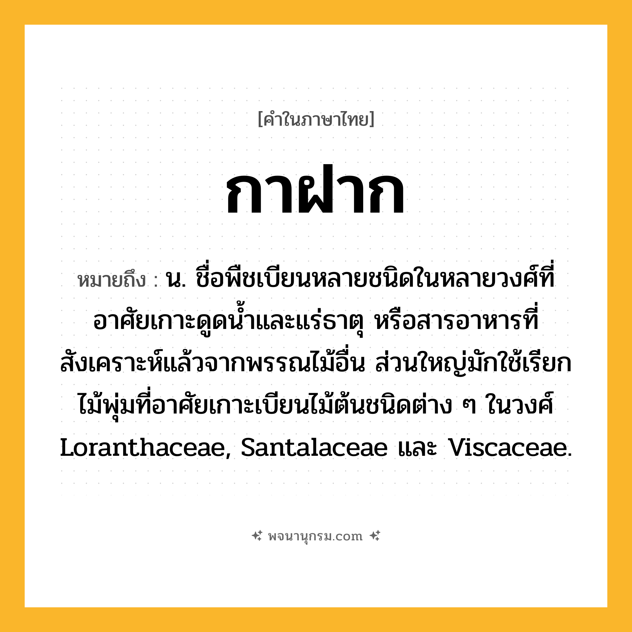 กาฝาก ความหมาย หมายถึงอะไร?, คำในภาษาไทย กาฝาก หมายถึง น. ชื่อพืชเบียนหลายชนิดในหลายวงศ์ที่อาศัยเกาะดูดนํ้าและแร่ธาตุ หรือสารอาหารที่สังเคราะห์แล้วจากพรรณไม้อื่น ส่วนใหญ่มักใช้เรียกไม้พุ่มที่อาศัยเกาะเบียนไม้ต้นชนิดต่าง ๆ ในวงศ์ Loranthaceae, Santalaceae และ Viscaceae.