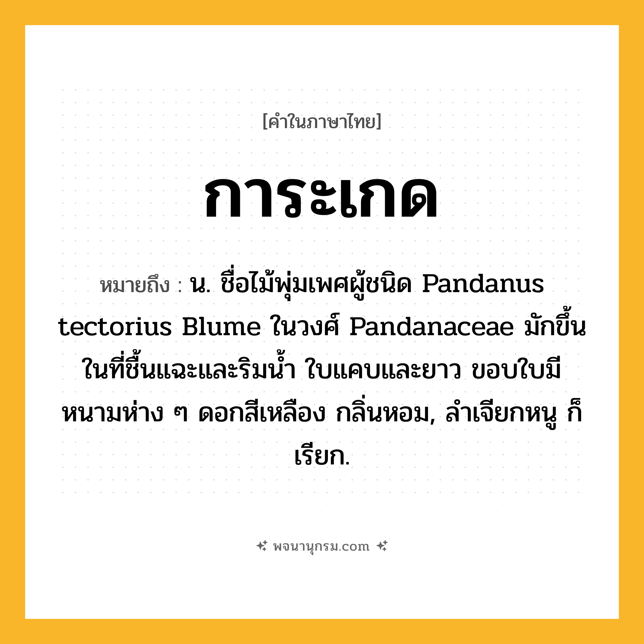 การะเกด ความหมาย หมายถึงอะไร?, คำในภาษาไทย การะเกด หมายถึง น. ชื่อไม้พุ่มเพศผู้ชนิด Pandanus tectorius Blume ในวงศ์ Pandanaceae มักขึ้นในที่ชื้นแฉะและริมนํ้า ใบแคบและยาว ขอบใบมีหนามห่าง ๆ ดอกสีเหลือง กลิ่นหอม, ลําเจียกหนู ก็เรียก.