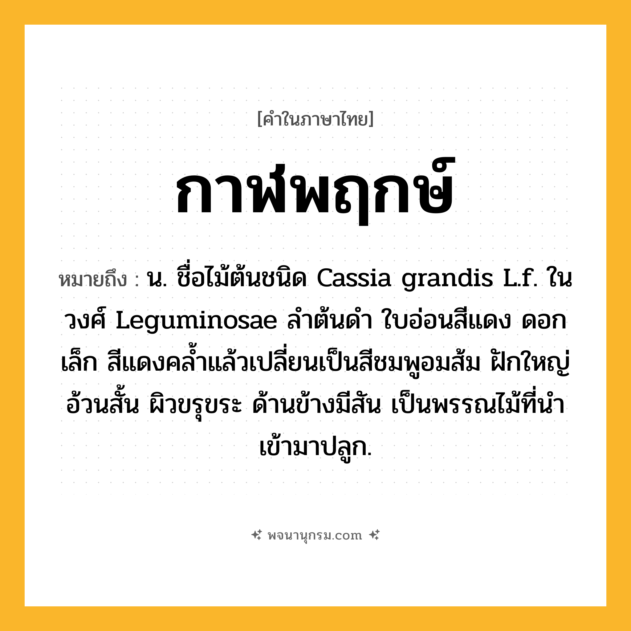 กาฬพฤกษ์ ความหมาย หมายถึงอะไร?, คำในภาษาไทย กาฬพฤกษ์ หมายถึง น. ชื่อไม้ต้นชนิด Cassia grandis L.f. ในวงศ์ Leguminosae ลําต้นดํา ใบอ่อนสีแดง ดอกเล็ก สีแดงคล้ำแล้วเปลี่ยนเป็นสีชมพูอมส้ม ฝักใหญ่อ้วนสั้น ผิวขรุขระ ด้านข้างมีสัน เป็นพรรณไม้ที่นําเข้ามาปลูก.