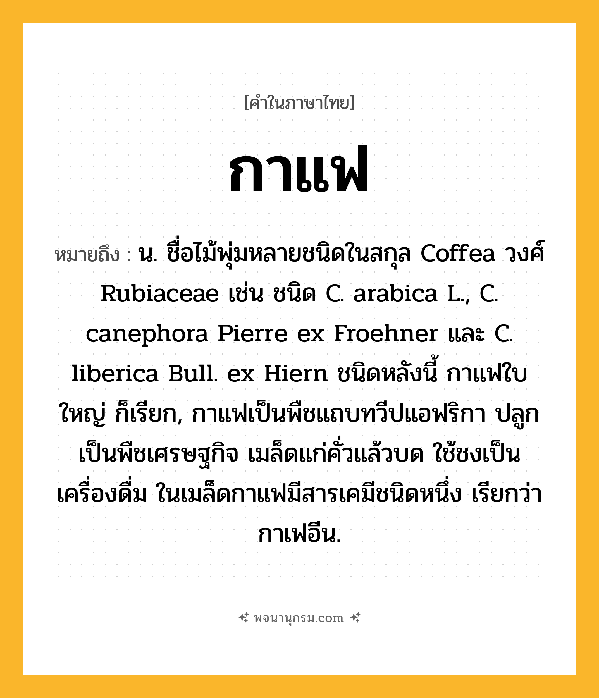 กาแฟ ความหมาย หมายถึงอะไร?, คำในภาษาไทย กาแฟ หมายถึง น. ชื่อไม้พุ่มหลายชนิดในสกุล Coffea วงศ์ Rubiaceae เช่น ชนิด C. arabica L., C. canephora Pierre ex Froehner และ C. liberica Bull. ex Hiern ชนิดหลังนี้ กาแฟใบใหญ่ ก็เรียก, กาแฟเป็นพืชแถบทวีปแอฟริกา ปลูกเป็นพืชเศรษฐกิจ เมล็ดแก่คั่วแล้วบด ใช้ชงเป็นเครื่องดื่ม ในเมล็ดกาแฟมีสารเคมีชนิดหนึ่ง เรียกว่า กาเฟอีน.