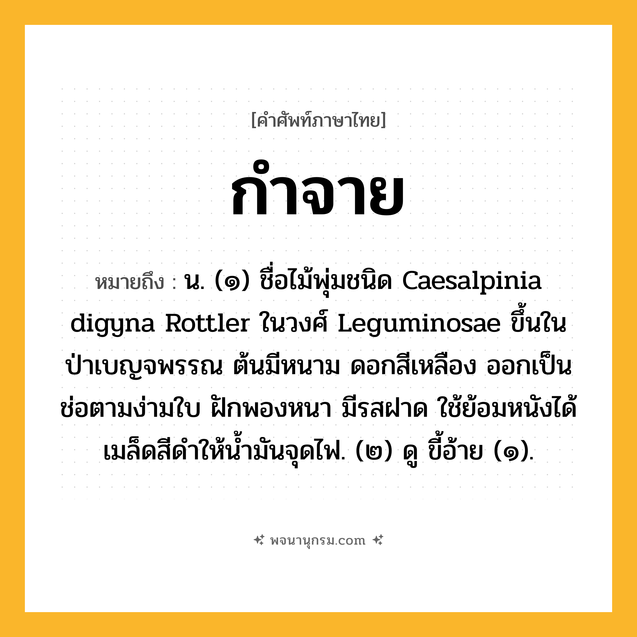กำจาย ความหมาย หมายถึงอะไร?, คำในภาษาไทย กำจาย หมายถึง น. (๑) ชื่อไม้พุ่มชนิด Caesalpinia digyna Rottler ในวงศ์ Leguminosae ขึ้นในป่าเบญจพรรณ ต้นมีหนาม ดอกสีเหลือง ออกเป็นช่อตามง่ามใบ ฝักพองหนา มีรสฝาด ใช้ย้อมหนังได้ เมล็ดสีดําให้นํ้ามันจุดไฟ. (๒) ดู ขี้อ้าย (๑).