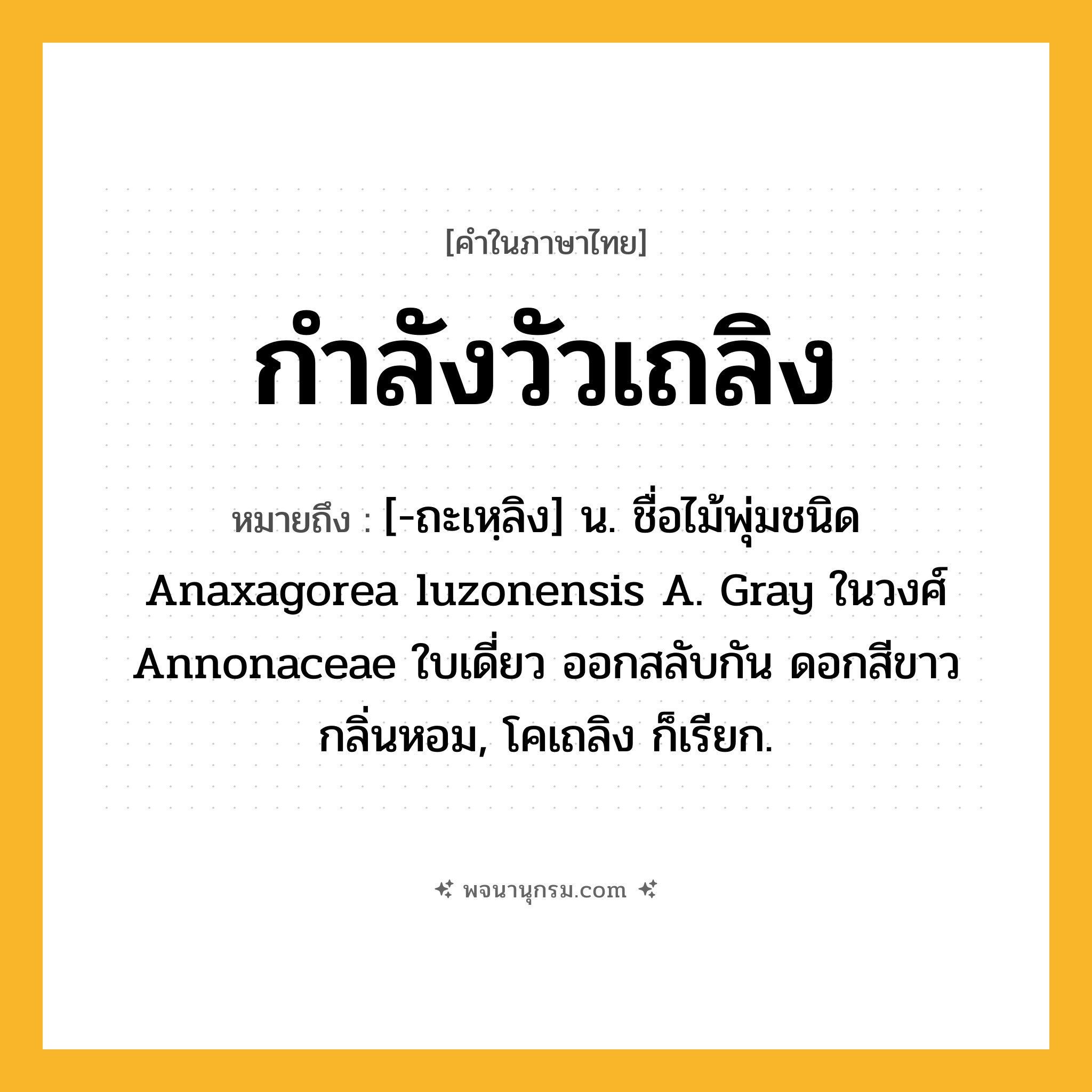 กำลังวัวเถลิง ความหมาย หมายถึงอะไร?, คำในภาษาไทย กำลังวัวเถลิง หมายถึง [-ถะเหฺลิง] น. ชื่อไม้พุ่มชนิด Anaxagorea luzonensis A. Gray ในวงศ์ Annonaceae ใบเดี่ยว ออกสลับกัน ดอกสีขาวกลิ่นหอม, โคเถลิง ก็เรียก.