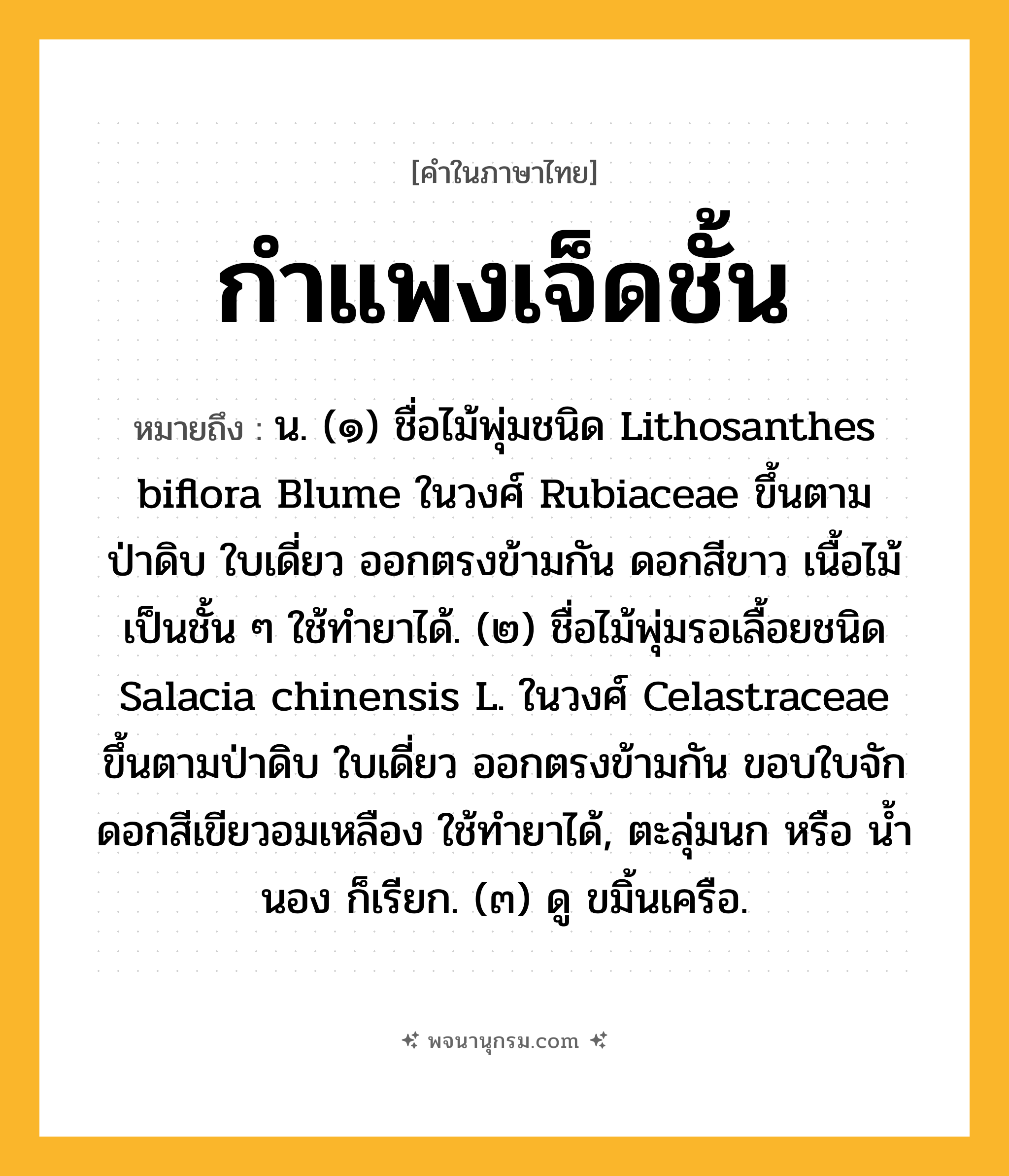 กำแพงเจ็ดชั้น ความหมาย หมายถึงอะไร?, คำในภาษาไทย กำแพงเจ็ดชั้น หมายถึง น. (๑) ชื่อไม้พุ่มชนิด Lithosanthes biflora Blume ในวงศ์ Rubiaceae ขึ้นตามป่าดิบ ใบเดี่ยว ออกตรงข้ามกัน ดอกสีขาว เนื้อไม้เป็นชั้น ๆ ใช้ทํายาได้. (๒) ชื่อไม้พุ่มรอเลื้อยชนิด Salacia chinensis L. ในวงศ์ Celastraceae ขึ้นตามป่าดิบ ใบเดี่ยว ออกตรงข้ามกัน ขอบใบจัก ดอกสีเขียวอมเหลือง ใช้ทํายาได้, ตะลุ่มนก หรือ นํ้านอง ก็เรียก. (๓) ดู ขมิ้นเครือ.