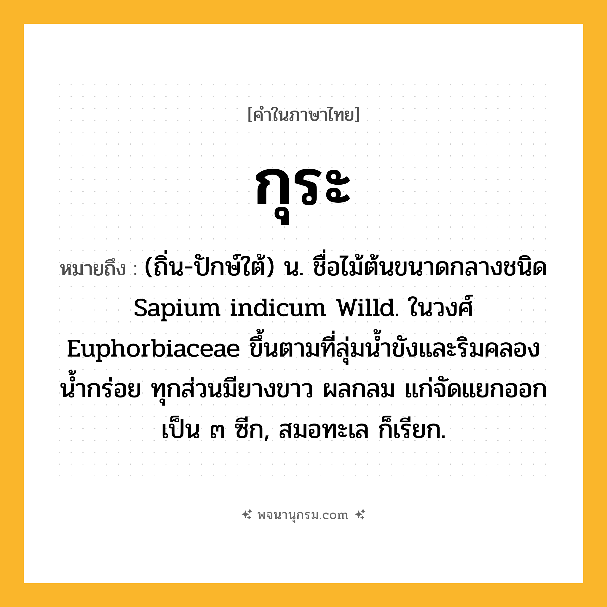 กุระ ความหมาย หมายถึงอะไร?, คำในภาษาไทย กุระ หมายถึง (ถิ่น-ปักษ์ใต้) น. ชื่อไม้ต้นขนาดกลางชนิด Sapium indicum Willd. ในวงศ์ Euphorbiaceae ขึ้นตามที่ลุ่มนํ้าขังและริมคลองนํ้ากร่อย ทุกส่วนมียางขาว ผลกลม แก่จัดแยกออกเป็น ๓ ซีก, สมอทะเล ก็เรียก.