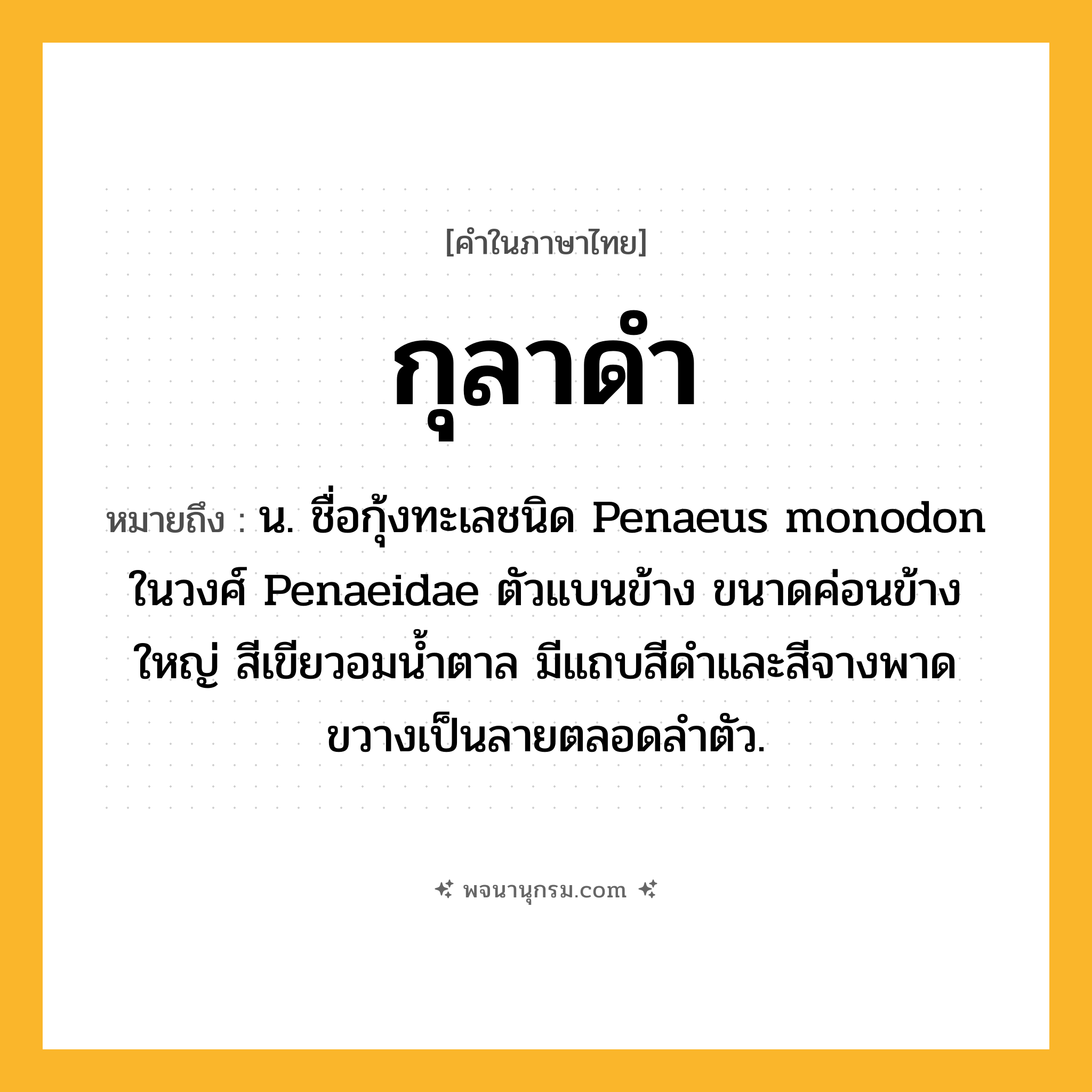 กุลาดำ ความหมาย หมายถึงอะไร?, คำในภาษาไทย กุลาดำ หมายถึง น. ชื่อกุ้งทะเลชนิด Penaeus monodon ในวงศ์ Penaeidae ตัวแบนข้าง ขนาดค่อนข้างใหญ่ สีเขียวอมน้ำตาล มีแถบสีดำและสีจางพาดขวางเป็นลายตลอดลำตัว.