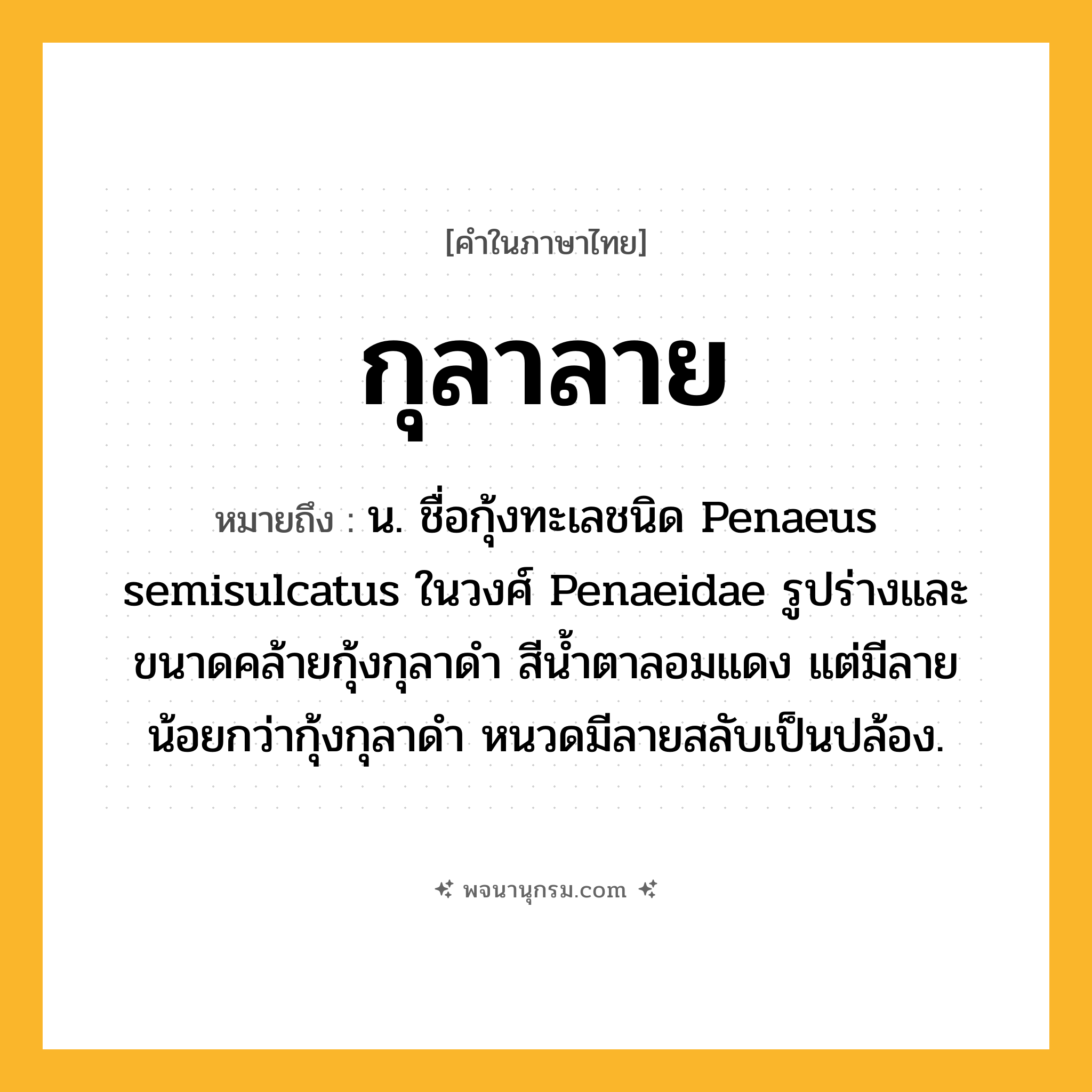 กุลาลาย ความหมาย หมายถึงอะไร?, คำในภาษาไทย กุลาลาย หมายถึง น. ชื่อกุ้งทะเลชนิด Penaeus semisulcatus ในวงศ์ Penaeidae รูปร่างและขนาดคล้ายกุ้งกุลาดํา สีน้ำตาลอมแดง แต่มีลายน้อยกว่ากุ้งกุลาดำ หนวดมีลายสลับเป็นปล้อง.