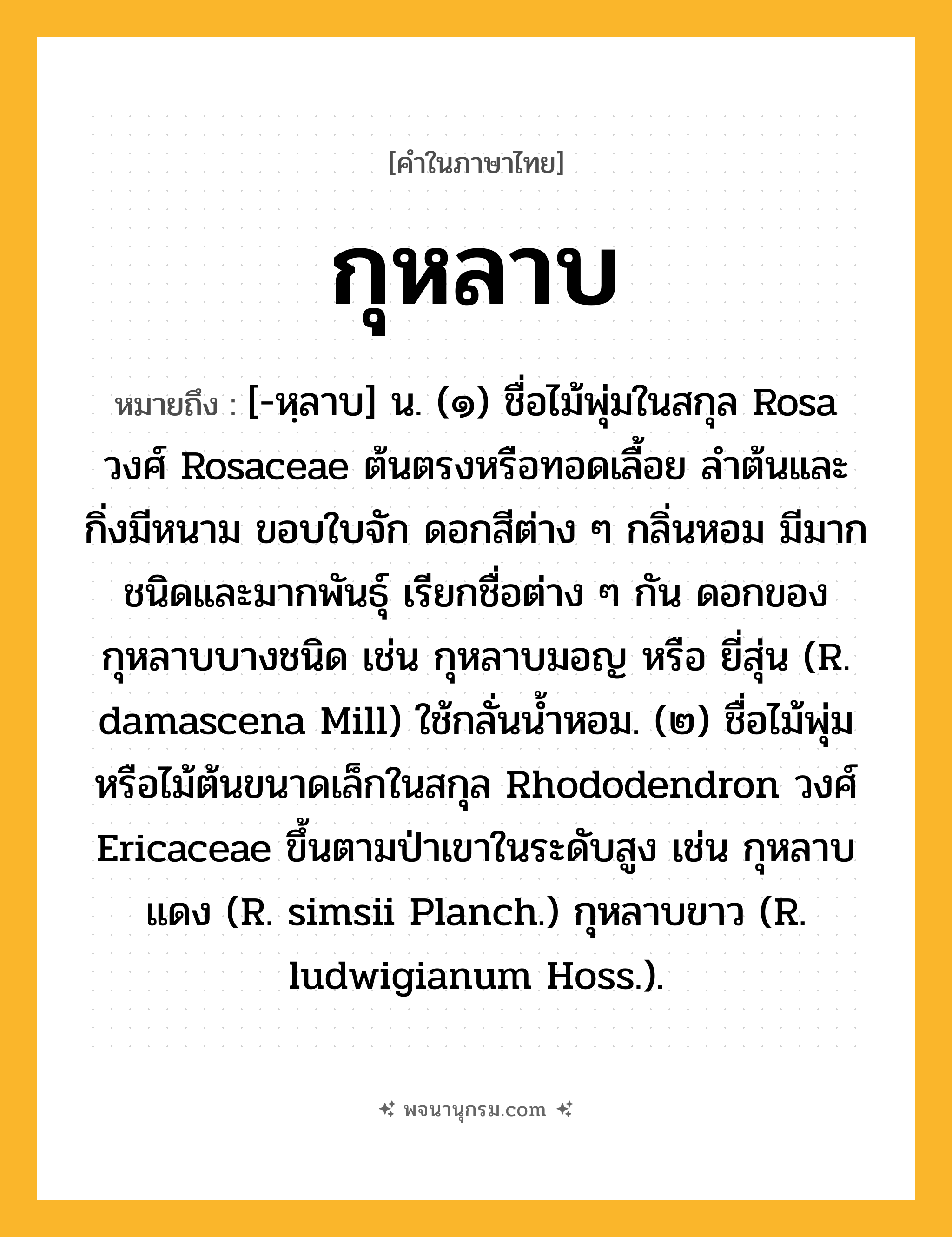 กุหลาบ ความหมาย หมายถึงอะไร?, คำในภาษาไทย กุหลาบ หมายถึง [-หฺลาบ] น. (๑) ชื่อไม้พุ่มในสกุล Rosa วงศ์ Rosaceae ต้นตรงหรือทอดเลื้อย ลําต้นและกิ่งมีหนาม ขอบใบจัก ดอกสีต่าง ๆ กลิ่นหอม มีมากชนิดและมากพันธุ์ เรียกชื่อต่าง ๆ กัน ดอกของกุหลาบบางชนิด เช่น กุหลาบมอญ หรือ ยี่สุ่น (R. damascena Mill) ใช้กลั่นนํ้าหอม. (๒) ชื่อไม้พุ่มหรือไม้ต้นขนาดเล็กในสกุล Rhododendron วงศ์ Ericaceae ขึ้นตามป่าเขาในระดับสูง เช่น กุหลาบแดง (R. simsii Planch.) กุหลาบขาว (R. ludwigianum Hoss.).