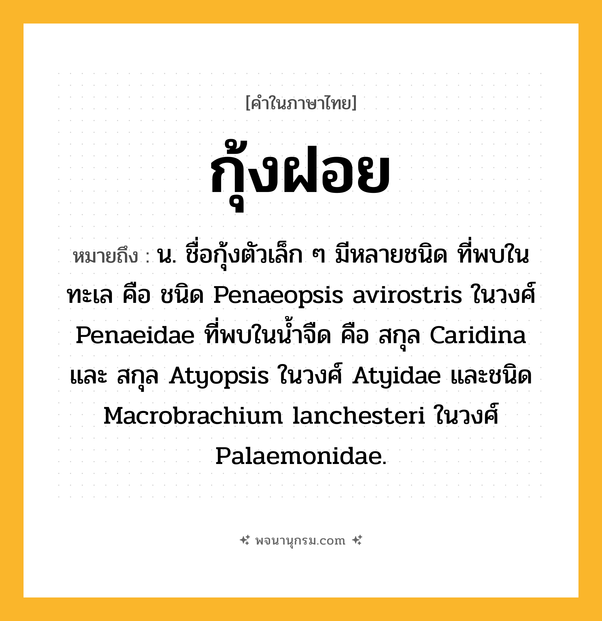 กุ้งฝอย ความหมาย หมายถึงอะไร?, คำในภาษาไทย กุ้งฝอย หมายถึง น. ชื่อกุ้งตัวเล็ก ๆ มีหลายชนิด ที่พบในทะเล คือ ชนิด Penaeopsis avirostris ในวงศ์ Penaeidae ที่พบในนํ้าจืด คือ สกุล Caridina และ สกุล Atyopsis ในวงศ์ Atyidae และชนิด Macrobrachium lanchesteri ในวงศ์ Palaemonidae.