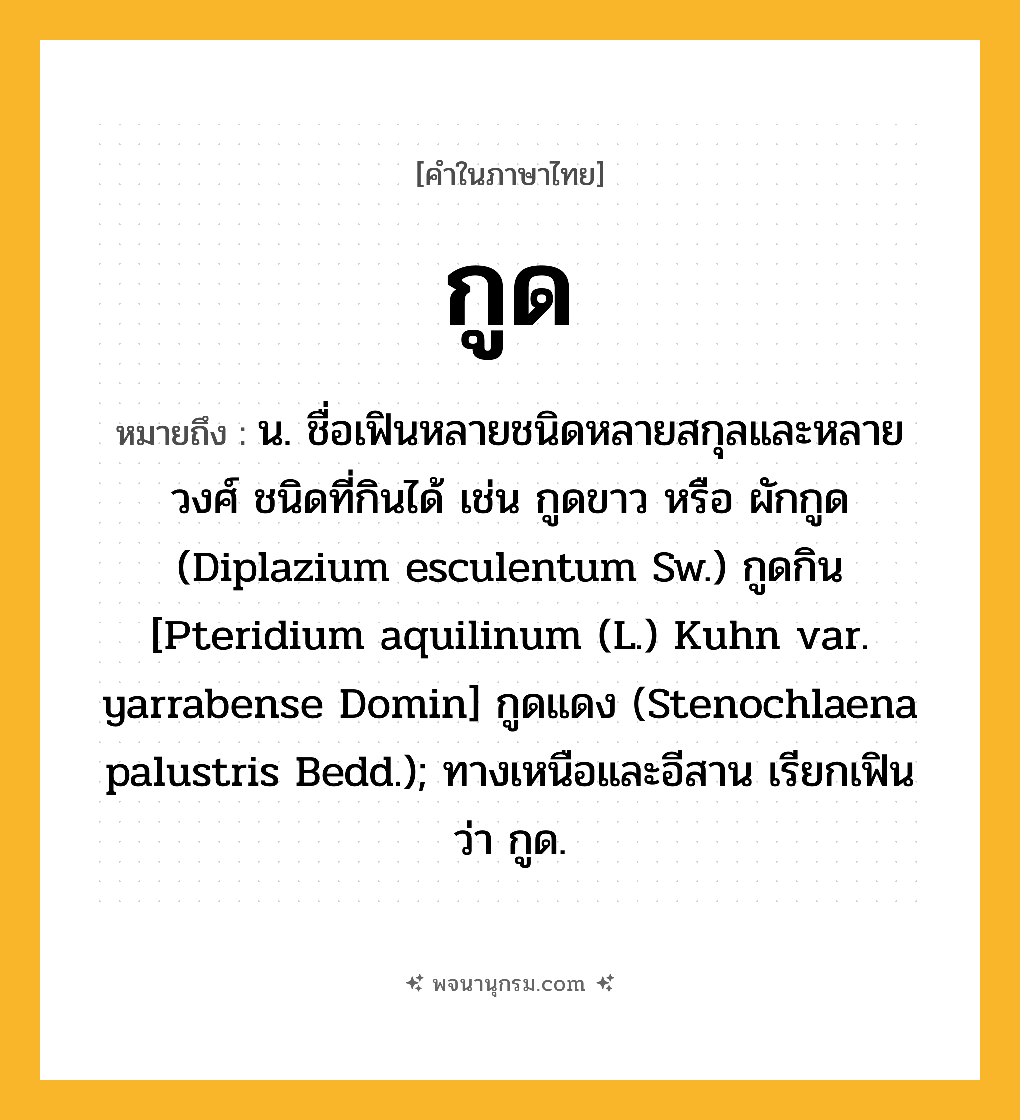 กูด ความหมาย หมายถึงอะไร?, คำในภาษาไทย กูด หมายถึง น. ชื่อเฟินหลายชนิดหลายสกุลและหลายวงศ์ ชนิดที่กินได้ เช่น กูดขาว หรือ ผักกูด (Diplazium esculentum Sw.) กูดกิน [Pteridium aquilinum (L.) Kuhn var. yarrabense Domin] กูดแดง (Stenochlaena palustris Bedd.); ทางเหนือและอีสาน เรียกเฟินว่า กูด.