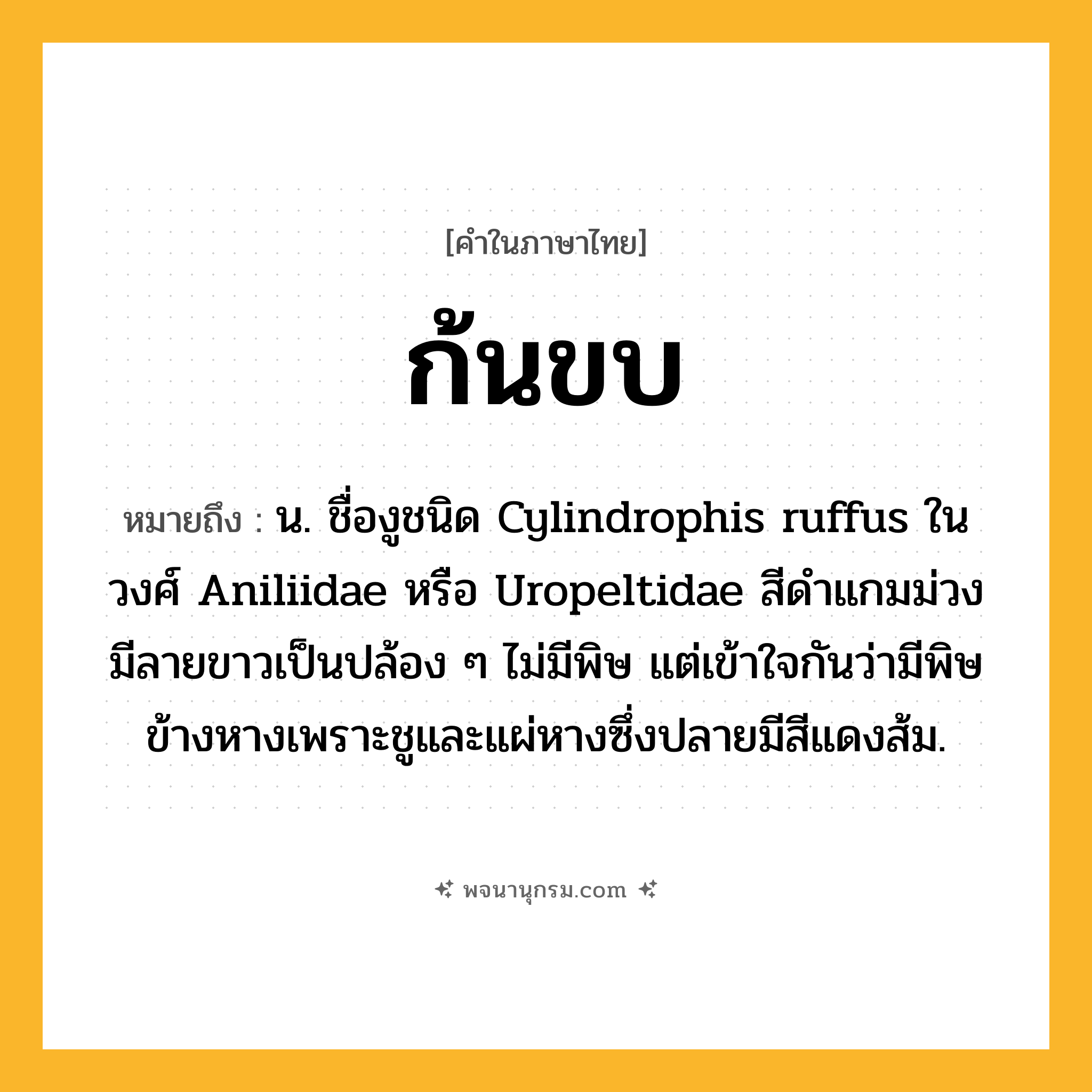 ก้นขบ ความหมาย หมายถึงอะไร?, คำในภาษาไทย ก้นขบ หมายถึง น. ชื่องูชนิด Cylindrophis ruffus ในวงศ์ Aniliidae หรือ Uropeltidae สีดําแกมม่วง มีลายขาวเป็นปล้อง ๆ ไม่มีพิษ แต่เข้าใจกันว่ามีพิษข้างหางเพราะชูและแผ่หางซึ่งปลายมีสีแดงส้ม.