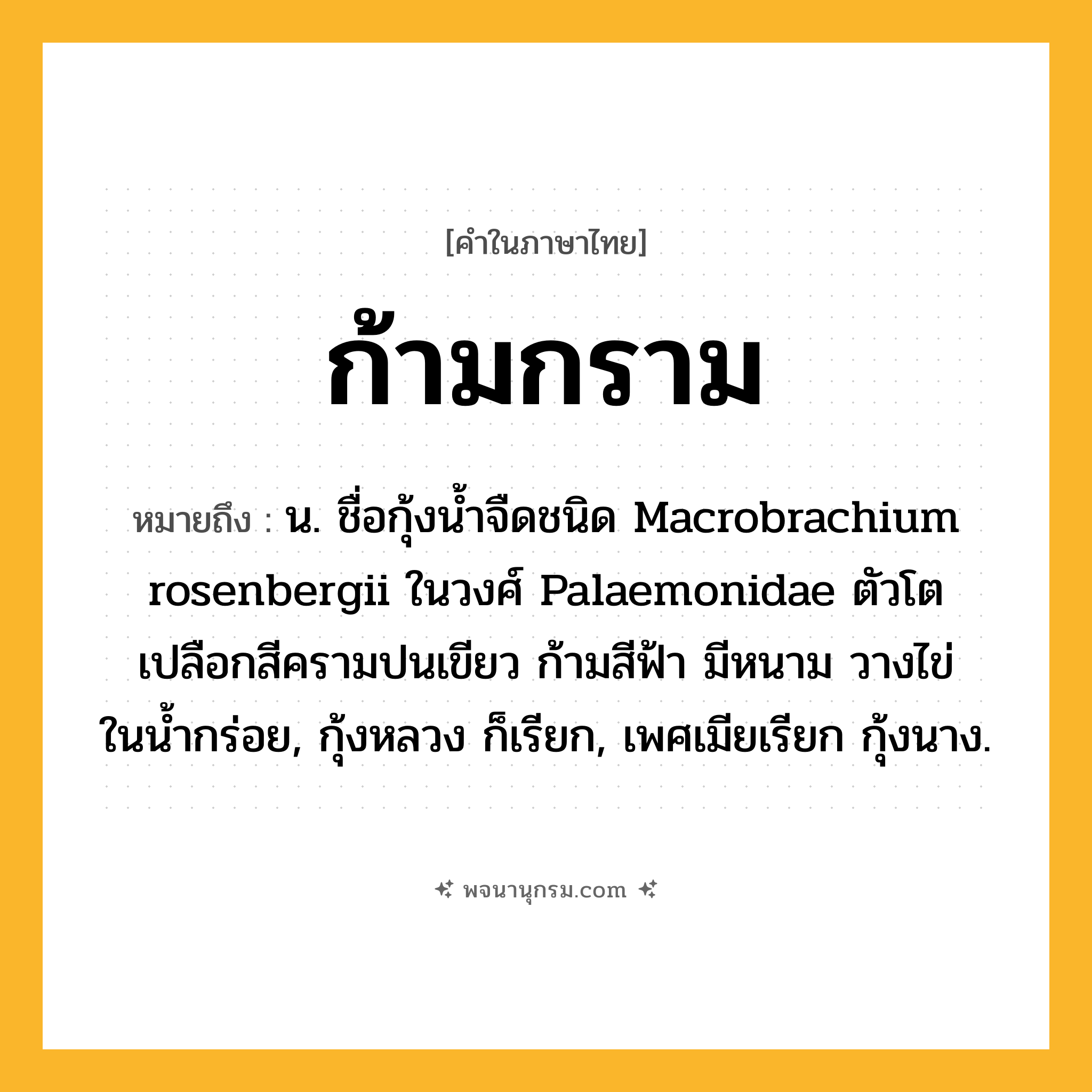 ก้ามกราม ความหมาย หมายถึงอะไร?, คำในภาษาไทย ก้ามกราม หมายถึง น. ชื่อกุ้งนํ้าจืดชนิด Macrobrachium rosenbergii ในวงศ์ Palaemonidae ตัวโต เปลือกสีครามปนเขียว ก้ามสีฟ้า มีหนาม วางไข่ในนํ้ากร่อย, กุ้งหลวง ก็เรียก, เพศเมียเรียก กุ้งนาง.