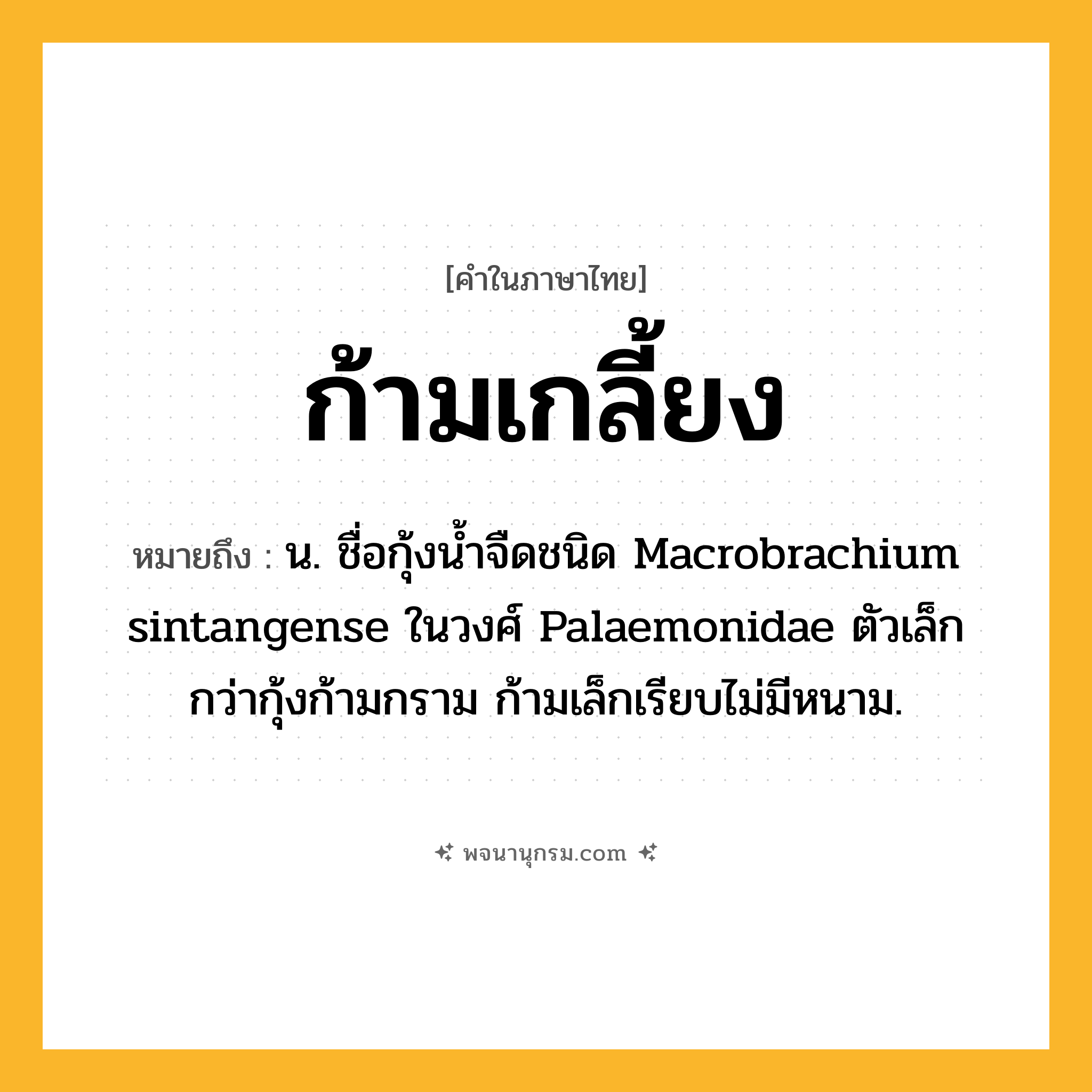 ก้ามเกลี้ยง ความหมาย หมายถึงอะไร?, คำในภาษาไทย ก้ามเกลี้ยง หมายถึง น. ชื่อกุ้งนํ้าจืดชนิด Macrobrachium sintangense ในวงศ์ Palaemonidae ตัวเล็กกว่ากุ้งก้ามกราม ก้ามเล็กเรียบไม่มีหนาม.