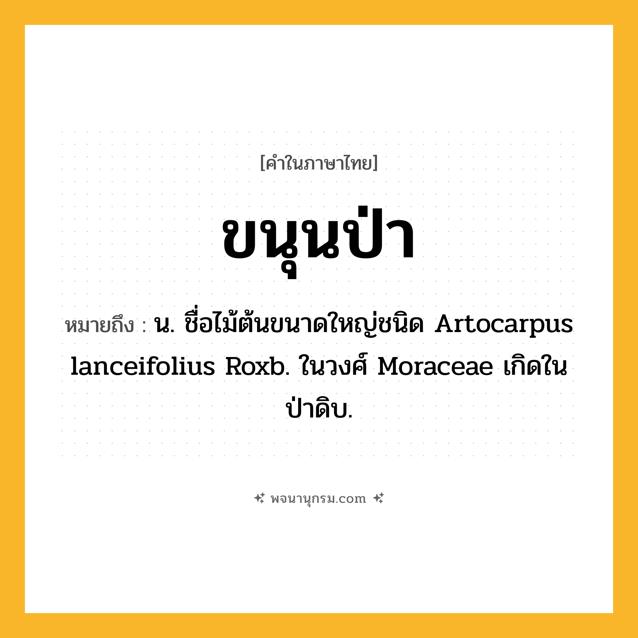 ขนุนป่า ความหมาย หมายถึงอะไร?, คำในภาษาไทย ขนุนป่า หมายถึง น. ชื่อไม้ต้นขนาดใหญ่ชนิด Artocarpus lanceifolius Roxb. ในวงศ์ Moraceae เกิดในป่าดิบ.