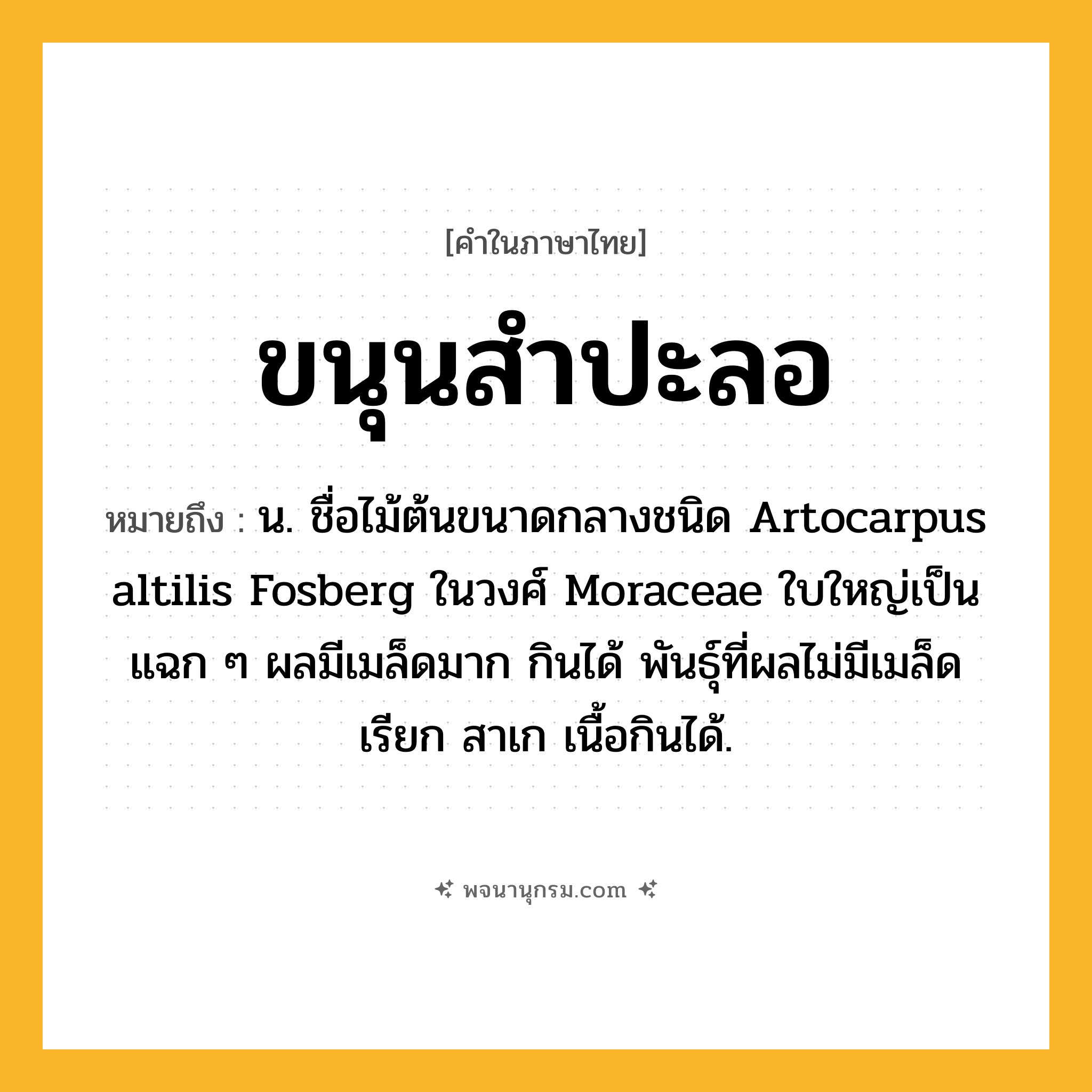 ขนุนสำปะลอ ความหมาย หมายถึงอะไร?, คำในภาษาไทย ขนุนสำปะลอ หมายถึง น. ชื่อไม้ต้นขนาดกลางชนิด Artocarpus altilis Fosberg ในวงศ์ Moraceae ใบใหญ่เป็นแฉก ๆ ผลมีเมล็ดมาก กินได้ พันธุ์ที่ผลไม่มีเมล็ด เรียก สาเก เนื้อกินได้.