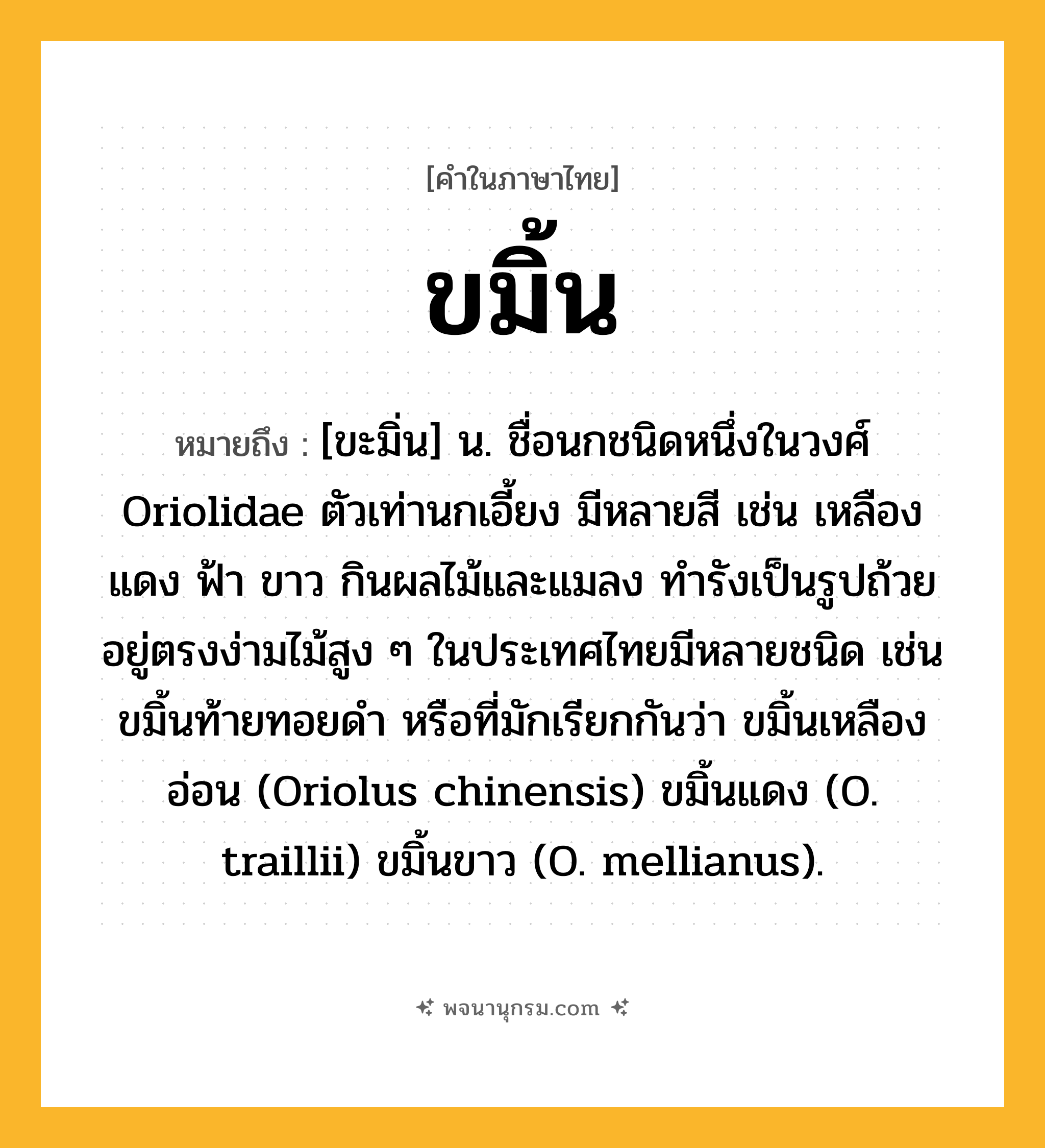 ขมิ้น ความหมาย หมายถึงอะไร?, คำในภาษาไทย ขมิ้น หมายถึง [ขะมิ่น] น. ชื่อนกชนิดหนึ่งในวงศ์ Oriolidae ตัวเท่านกเอี้ยง มีหลายสี เช่น เหลือง แดง ฟ้า ขาว กินผลไม้และแมลง ทํารังเป็นรูปถ้วยอยู่ตรงง่ามไม้สูง ๆ ในประเทศไทยมีหลายชนิด เช่น ขมิ้นท้ายทอยดํา หรือที่มักเรียกกันว่า ขมิ้นเหลืองอ่อน (Oriolus chinensis) ขมิ้นแดง (O. traillii) ขมิ้นขาว (O. mellianus).