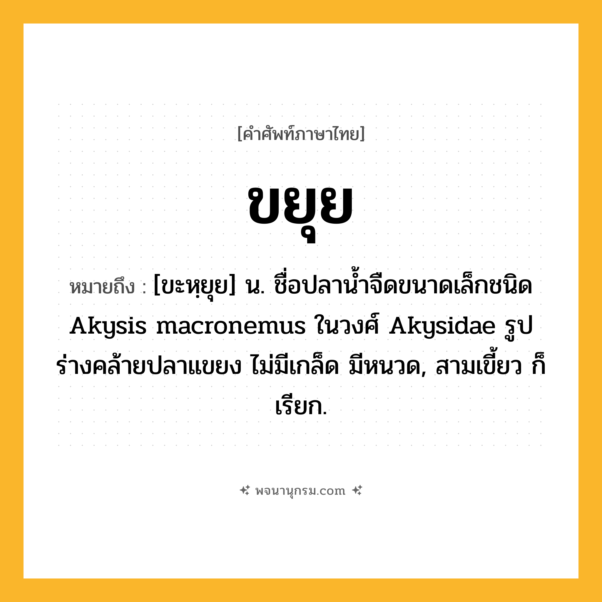 ขยุย ความหมาย หมายถึงอะไร?, คำในภาษาไทย ขยุย หมายถึง [ขะหฺยุย] น. ชื่อปลานํ้าจืดขนาดเล็กชนิด Akysis macronemus ในวงศ์ Akysidae รูปร่างคล้ายปลาแขยง ไม่มีเกล็ด มีหนวด, สามเขี้ยว ก็เรียก.