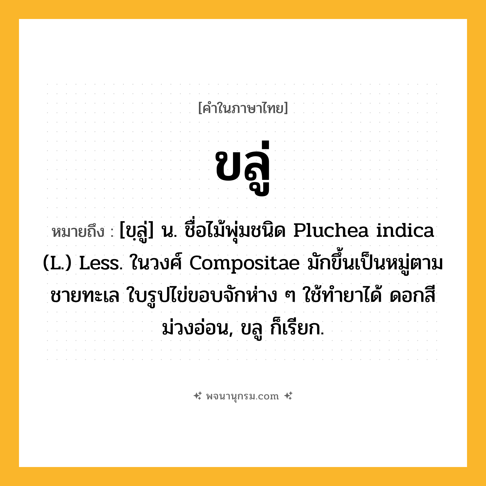 ขลู่ ความหมาย หมายถึงอะไร?, คำในภาษาไทย ขลู่ หมายถึง [ขฺลู่] น. ชื่อไม้พุ่มชนิด Pluchea indica (L.) Less. ในวงศ์ Compositae มักขึ้นเป็นหมู่ตามชายทะเล ใบรูปไข่ขอบจักห่าง ๆ ใช้ทํายาได้ ดอกสีม่วงอ่อน, ขลู ก็เรียก.