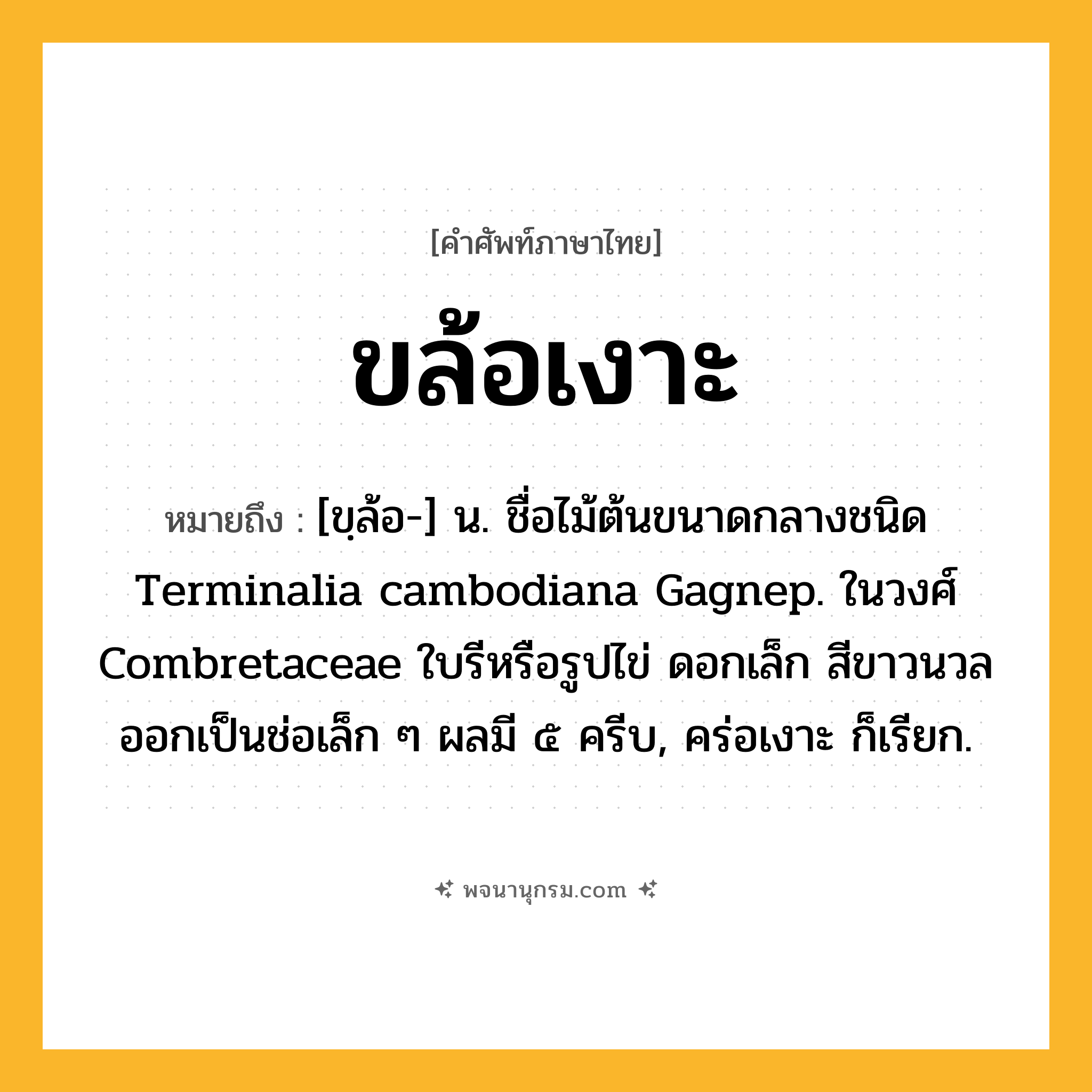 ขล้อเงาะ ความหมาย หมายถึงอะไร?, คำในภาษาไทย ขล้อเงาะ หมายถึง [ขฺล้อ-] น. ชื่อไม้ต้นขนาดกลางชนิด Terminalia cambodiana Gagnep. ในวงศ์ Combretaceae ใบรีหรือรูปไข่ ดอกเล็ก สีขาวนวล ออกเป็นช่อเล็ก ๆ ผลมี ๕ ครีบ, คร่อเงาะ ก็เรียก.