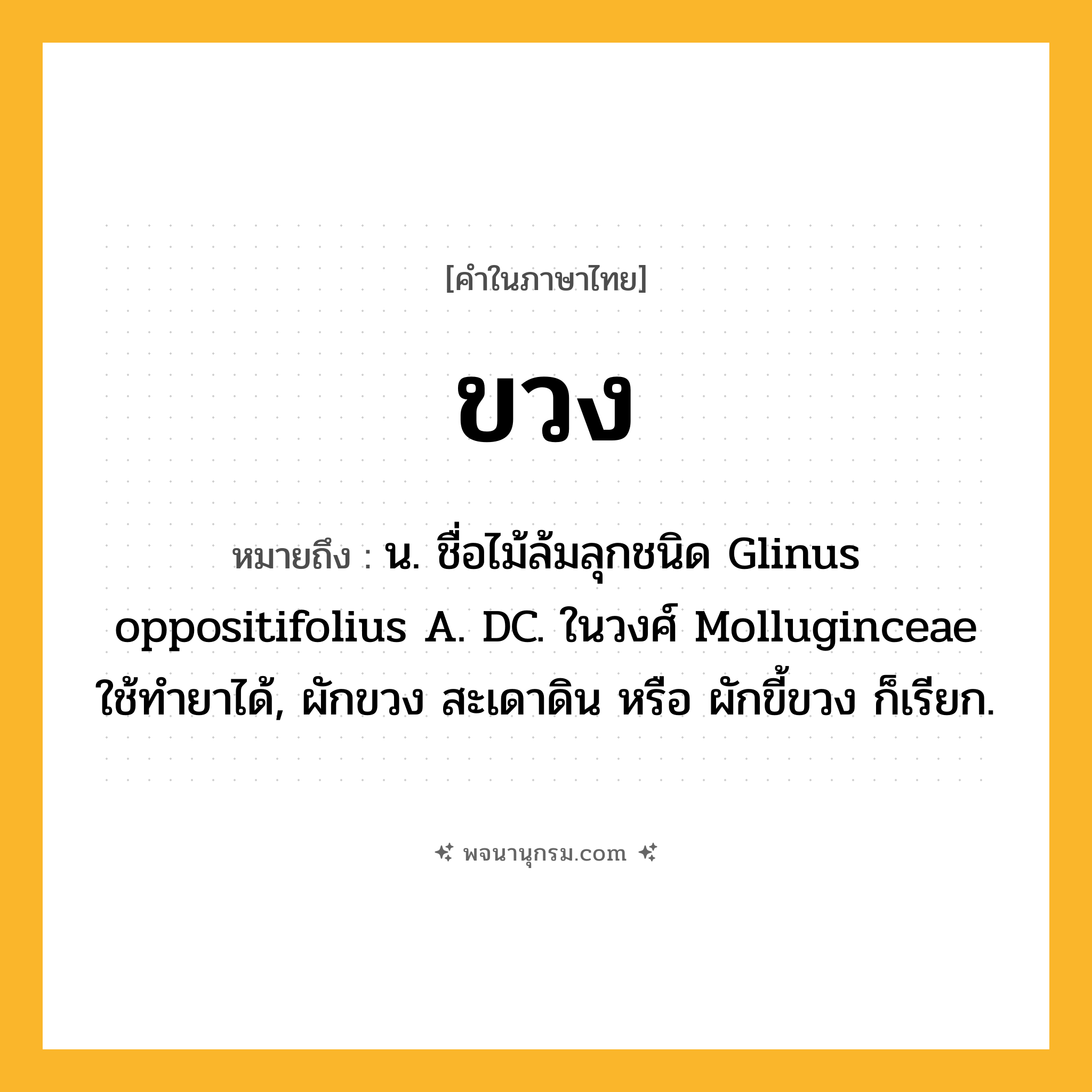 ขวง ความหมาย หมายถึงอะไร?, คำในภาษาไทย ขวง หมายถึง น. ชื่อไม้ล้มลุกชนิด Glinus oppositifolius A. DC. ในวงศ์ Molluginceae ใช้ทํายาได้, ผักขวง สะเดาดิน หรือ ผักขี้ขวง ก็เรียก.