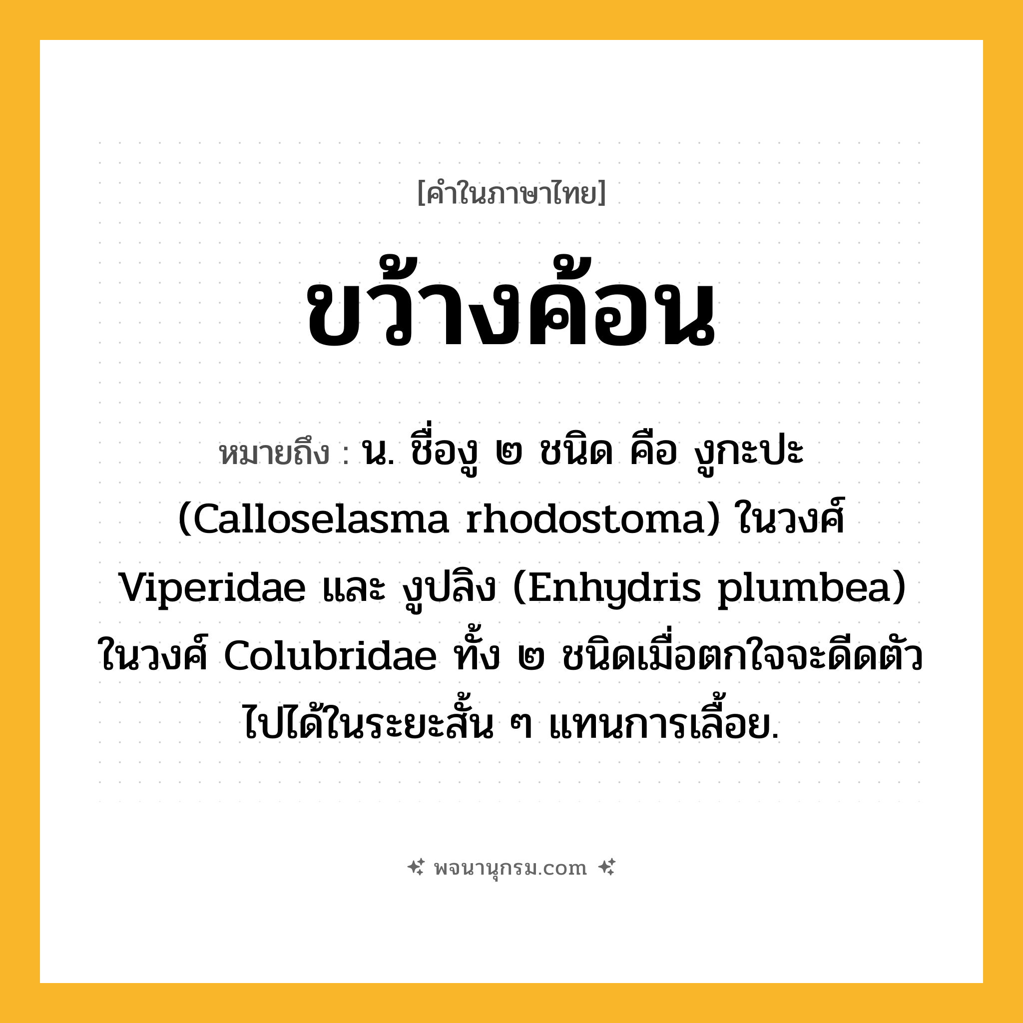 ขว้างค้อน ความหมาย หมายถึงอะไร?, คำในภาษาไทย ขว้างค้อน หมายถึง น. ชื่องู ๒ ชนิด คือ งูกะปะ (Calloselasma rhodostoma) ในวงศ์ Viperidae และ งูปลิง (Enhydris plumbea) ในวงศ์ Colubridae ทั้ง ๒ ชนิดเมื่อตกใจจะดีดตัวไปได้ในระยะสั้น ๆ แทนการเลื้อย.