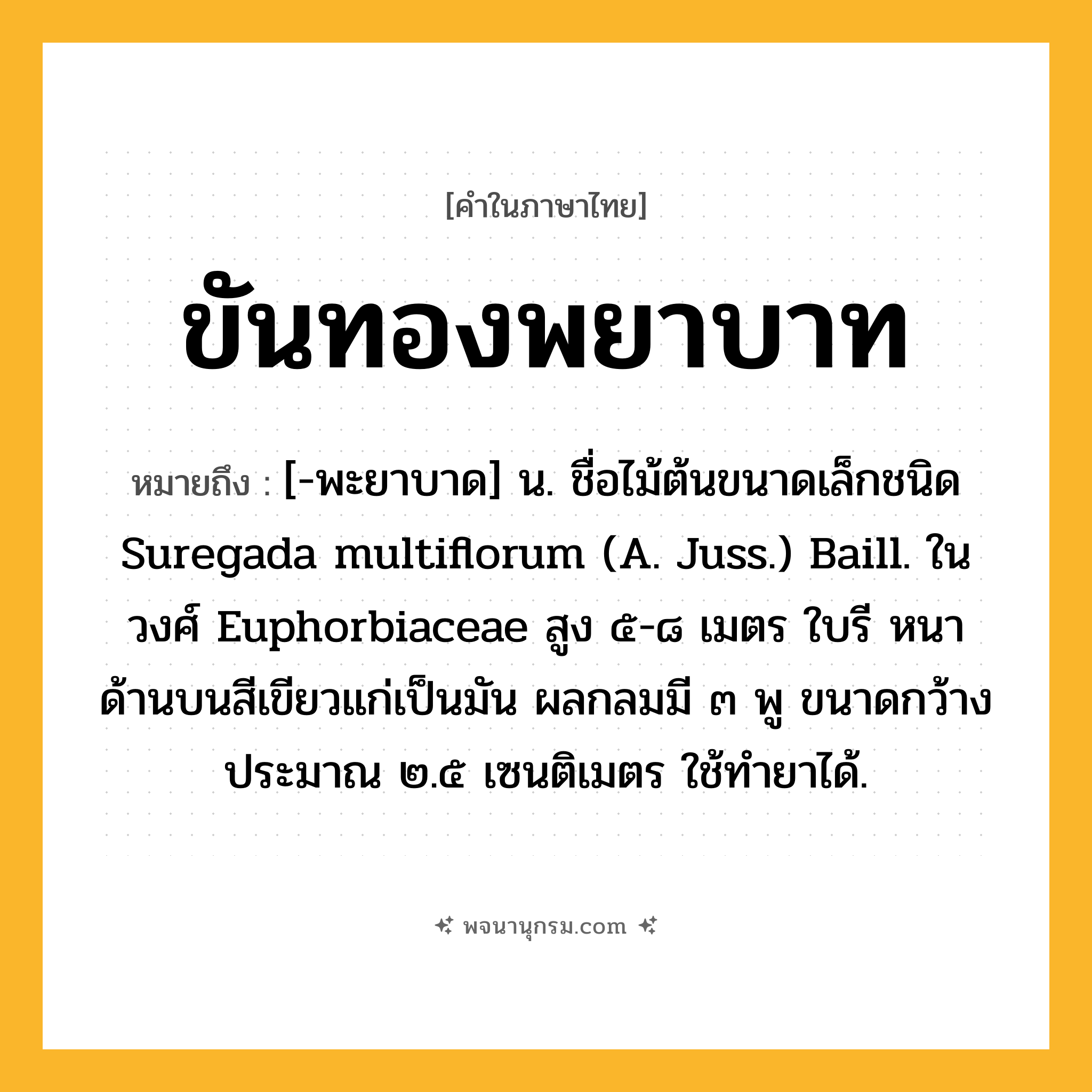 ขันทองพยาบาท ความหมาย หมายถึงอะไร?, คำในภาษาไทย ขันทองพยาบาท หมายถึง [-พะยาบาด] น. ชื่อไม้ต้นขนาดเล็กชนิด Suregada multiflorum (A. Juss.) Baill. ในวงศ์ Euphorbiaceae สูง ๕-๘ เมตร ใบรี หนา ด้านบนสีเขียวแก่เป็นมัน ผลกลมมี ๓ พู ขนาดกว้างประมาณ ๒.๕ เซนติเมตร ใช้ทํายาได้.