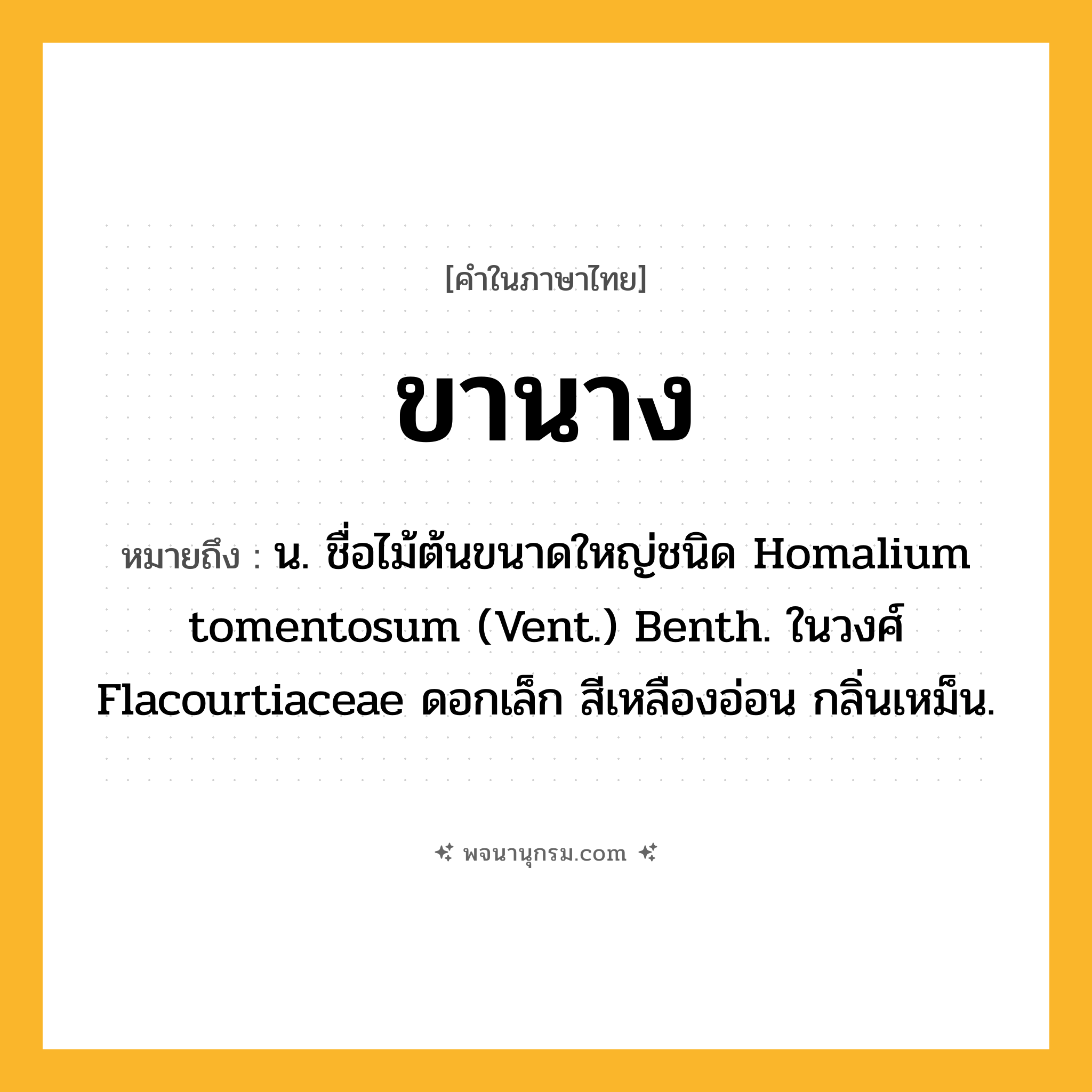 ขานาง ความหมาย หมายถึงอะไร?, คำในภาษาไทย ขานาง หมายถึง น. ชื่อไม้ต้นขนาดใหญ่ชนิด Homalium tomentosum (Vent.) Benth. ในวงศ์ Flacourtiaceae ดอกเล็ก สีเหลืองอ่อน กลิ่นเหม็น.