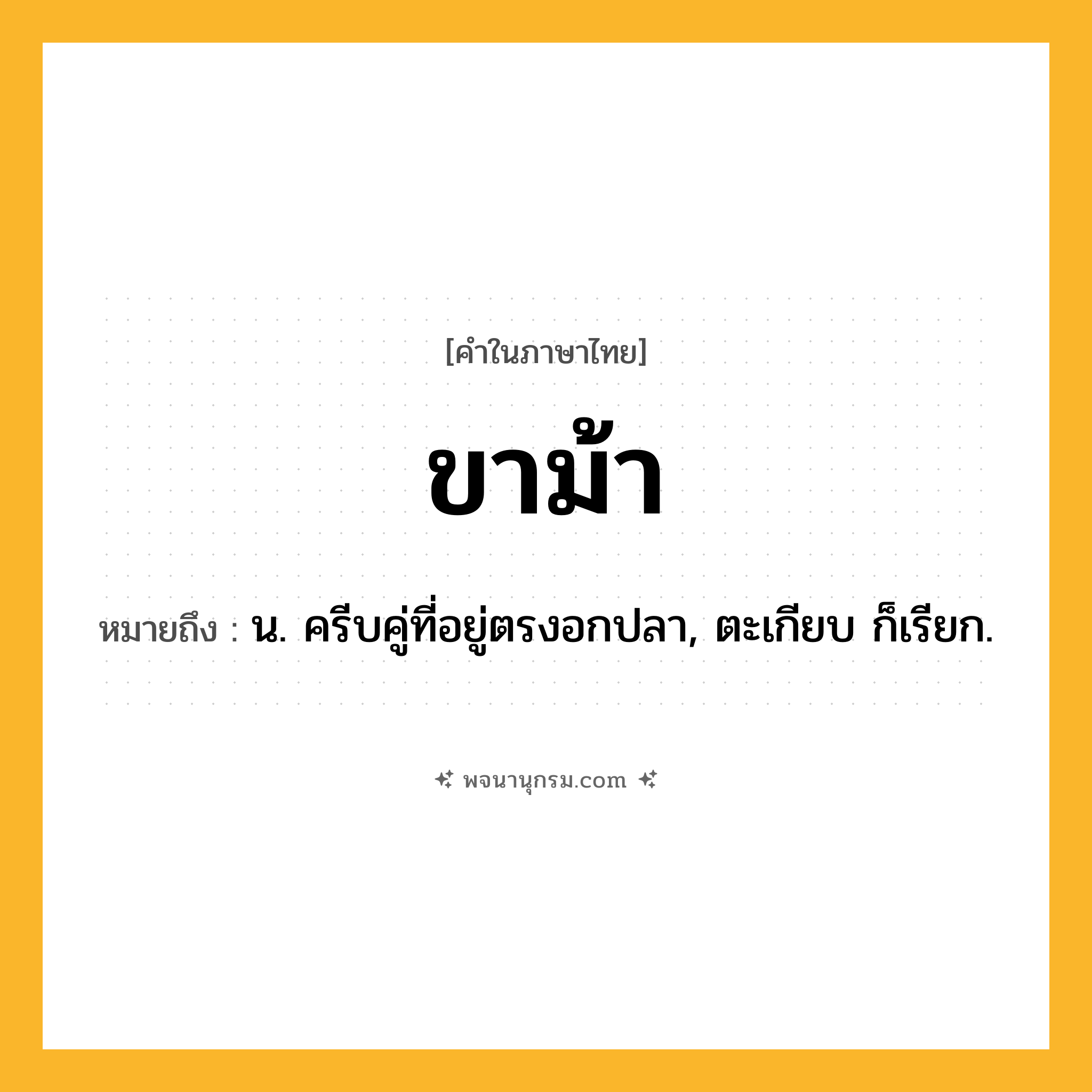 ขาม้า ความหมาย หมายถึงอะไร?, คำในภาษาไทย ขาม้า หมายถึง น. ครีบคู่ที่อยู่ตรงอกปลา, ตะเกียบ ก็เรียก.