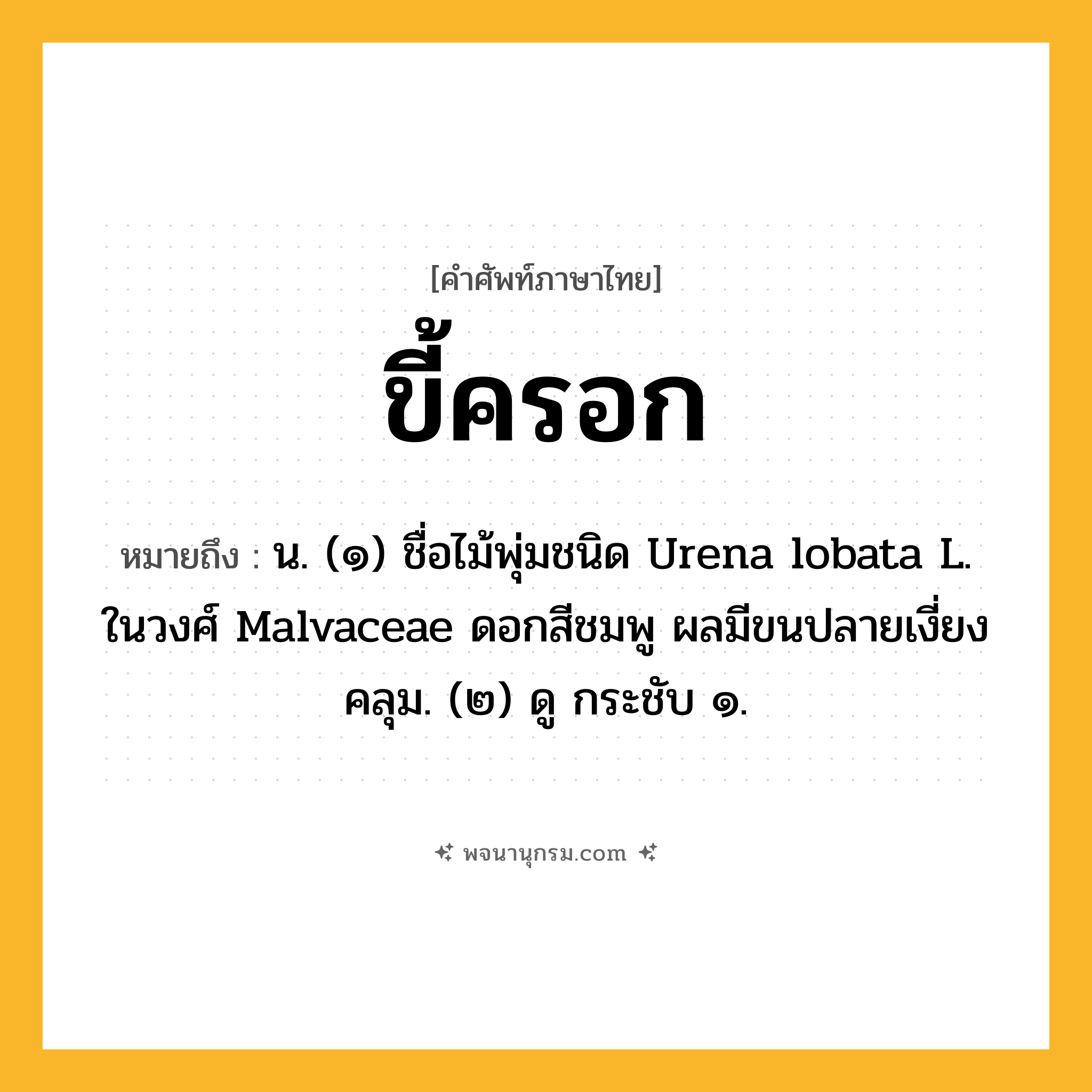 ขี้ครอก ความหมาย หมายถึงอะไร?, คำในภาษาไทย ขี้ครอก หมายถึง น. (๑) ชื่อไม้พุ่มชนิด Urena lobata L. ในวงศ์ Malvaceae ดอกสีชมพู ผลมีขนปลายเงี่ยงคลุม. (๒) ดู กระชับ ๑.