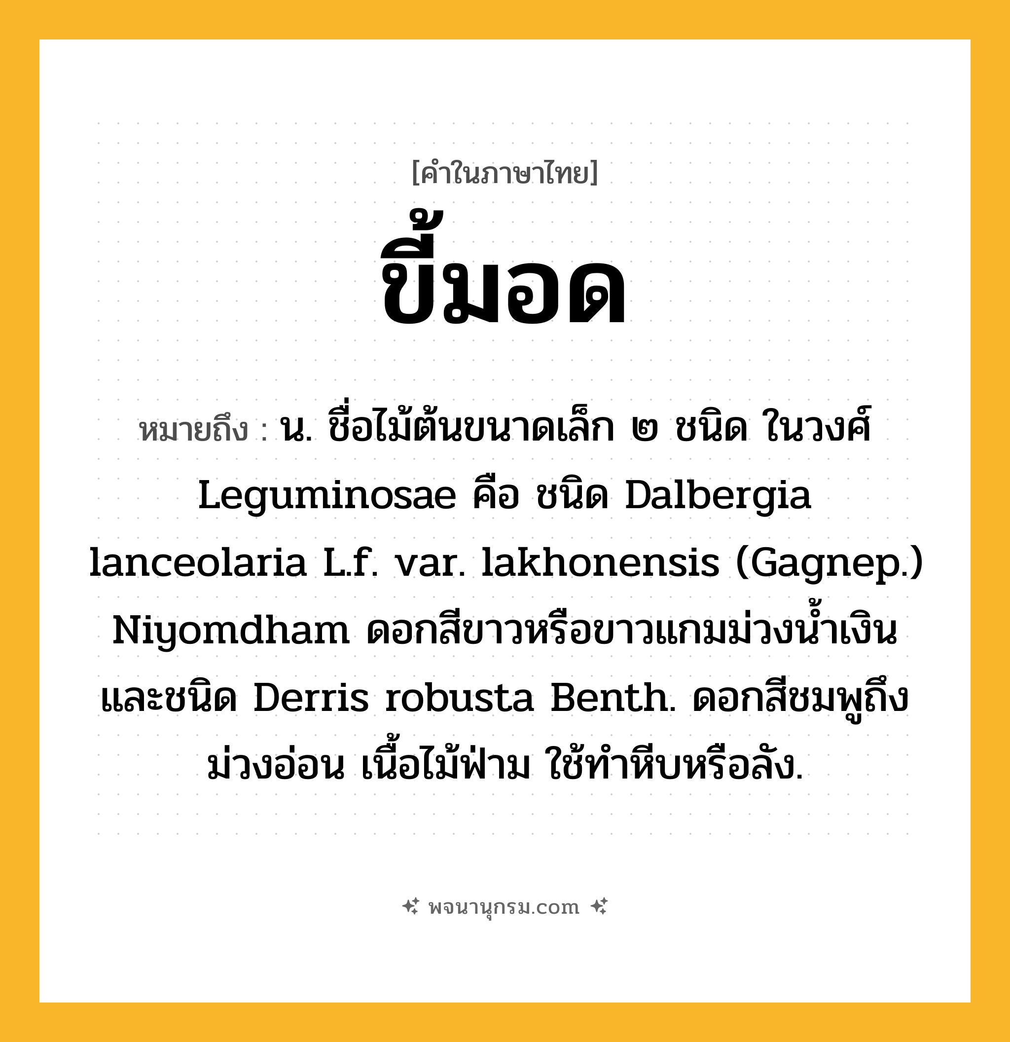 ขี้มอด ความหมาย หมายถึงอะไร?, คำในภาษาไทย ขี้มอด หมายถึง น. ชื่อไม้ต้นขนาดเล็ก ๒ ชนิด ในวงศ์ Leguminosae คือ ชนิด Dalbergia lanceolaria L.f. var. lakhonensis (Gagnep.) Niyomdham ดอกสีขาวหรือขาวแกมม่วงน้ำเงิน และชนิด Derris robusta Benth. ดอกสีชมพูถึงม่วงอ่อน เนื้อไม้ฟ่าม ใช้ทําหีบหรือลัง.