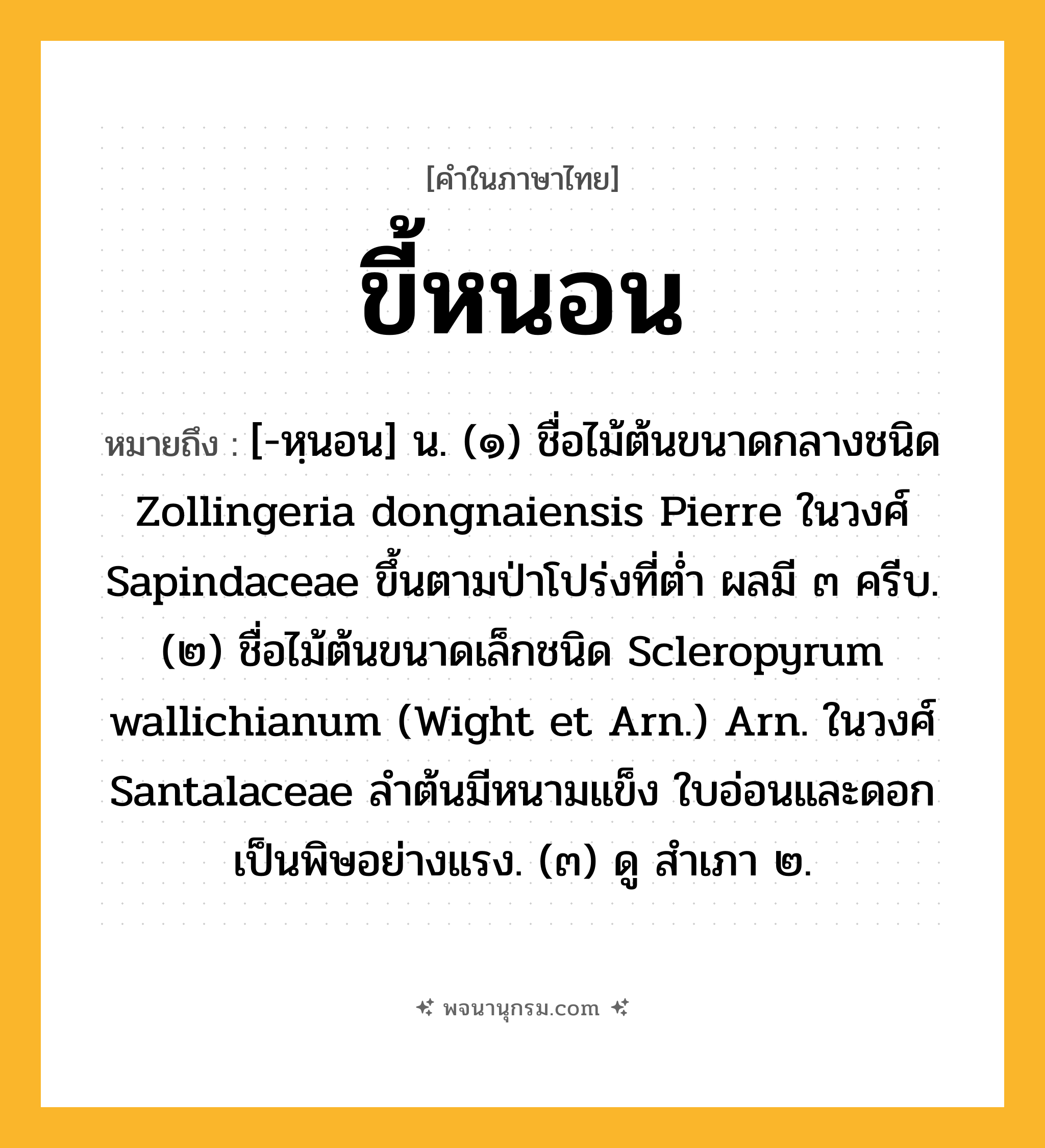 ขี้หนอน ความหมาย หมายถึงอะไร?, คำในภาษาไทย ขี้หนอน หมายถึง [-หฺนอน] น. (๑) ชื่อไม้ต้นขนาดกลางชนิด Zollingeria dongnaiensis Pierre ในวงศ์ Sapindaceae ขึ้นตามป่าโปร่งที่ตํ่า ผลมี ๓ ครีบ. (๒) ชื่อไม้ต้นขนาดเล็กชนิด Scleropyrum wallichianum (Wight et Arn.) Arn. ในวงศ์ Santalaceae ลําต้นมีหนามแข็ง ใบอ่อนและดอกเป็นพิษอย่างแรง. (๓) ดู สําเภา ๒.