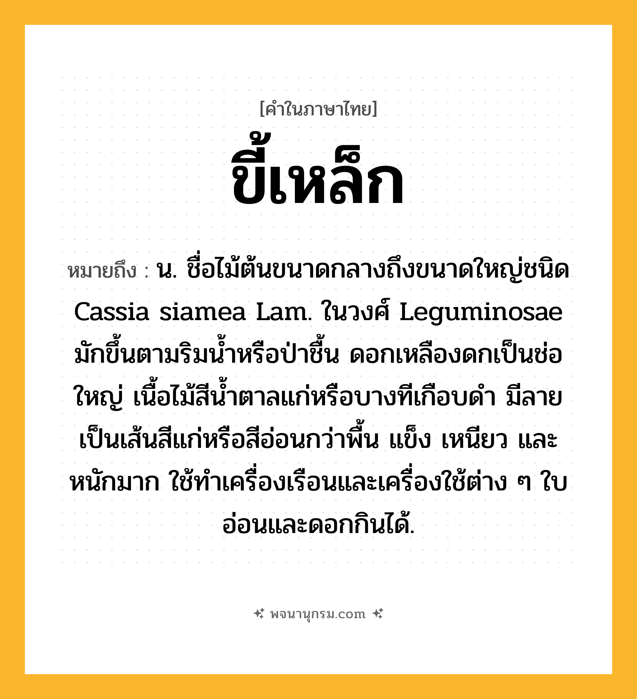 ขี้เหล็ก ความหมาย หมายถึงอะไร?, คำในภาษาไทย ขี้เหล็ก หมายถึง น. ชื่อไม้ต้นขนาดกลางถึงขนาดใหญ่ชนิด Cassia siamea Lam. ในวงศ์ Leguminosae มักขึ้นตามริมนํ้าหรือป่าชื้น ดอกเหลืองดกเป็นช่อใหญ่ เนื้อไม้สีนํ้าตาลแก่หรือบางทีเกือบดํา มีลายเป็นเส้นสีแก่หรือสีอ่อนกว่าพื้น แข็ง เหนียว และหนักมาก ใช้ทําเครื่องเรือนและเครื่องใช้ต่าง ๆ ใบอ่อนและดอกกินได้.