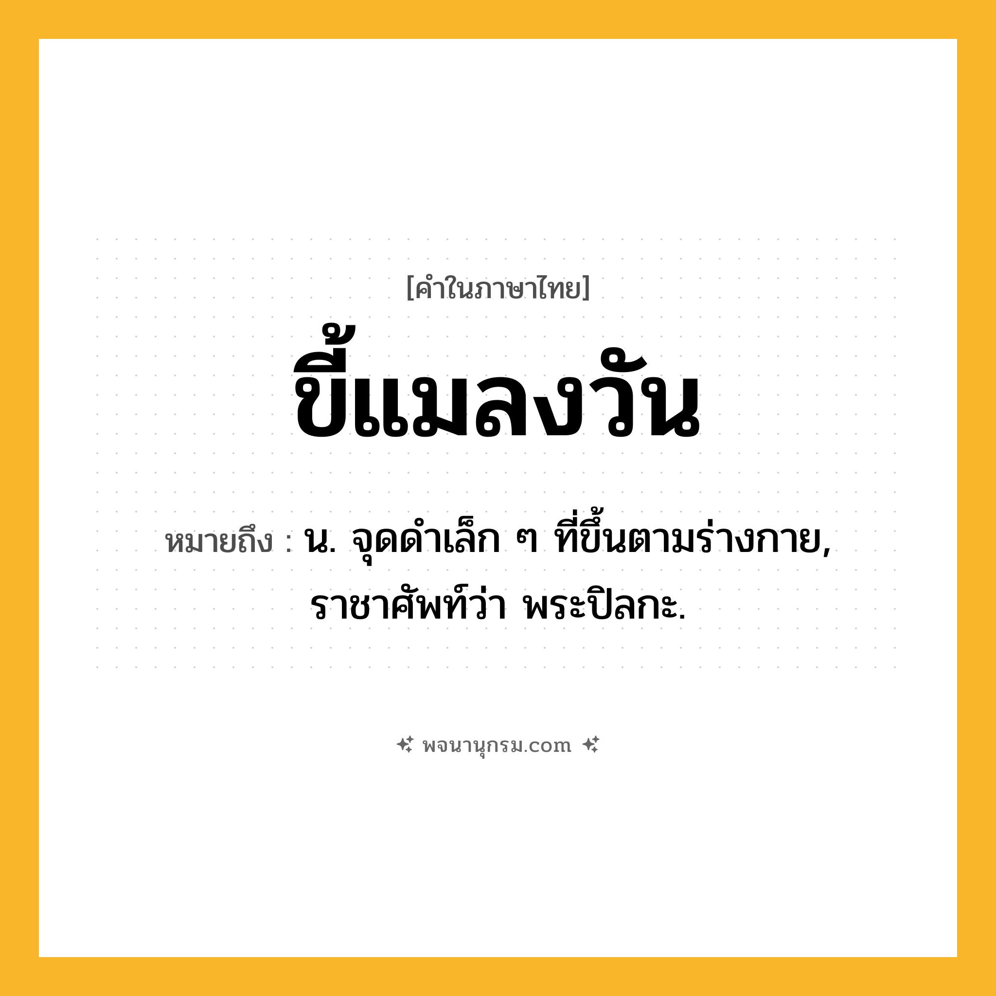 ขี้แมลงวัน ความหมาย หมายถึงอะไร?, คำในภาษาไทย ขี้แมลงวัน หมายถึง น. จุดดําเล็ก ๆ ที่ขึ้นตามร่างกาย, ราชาศัพท์ว่า พระปิลกะ.