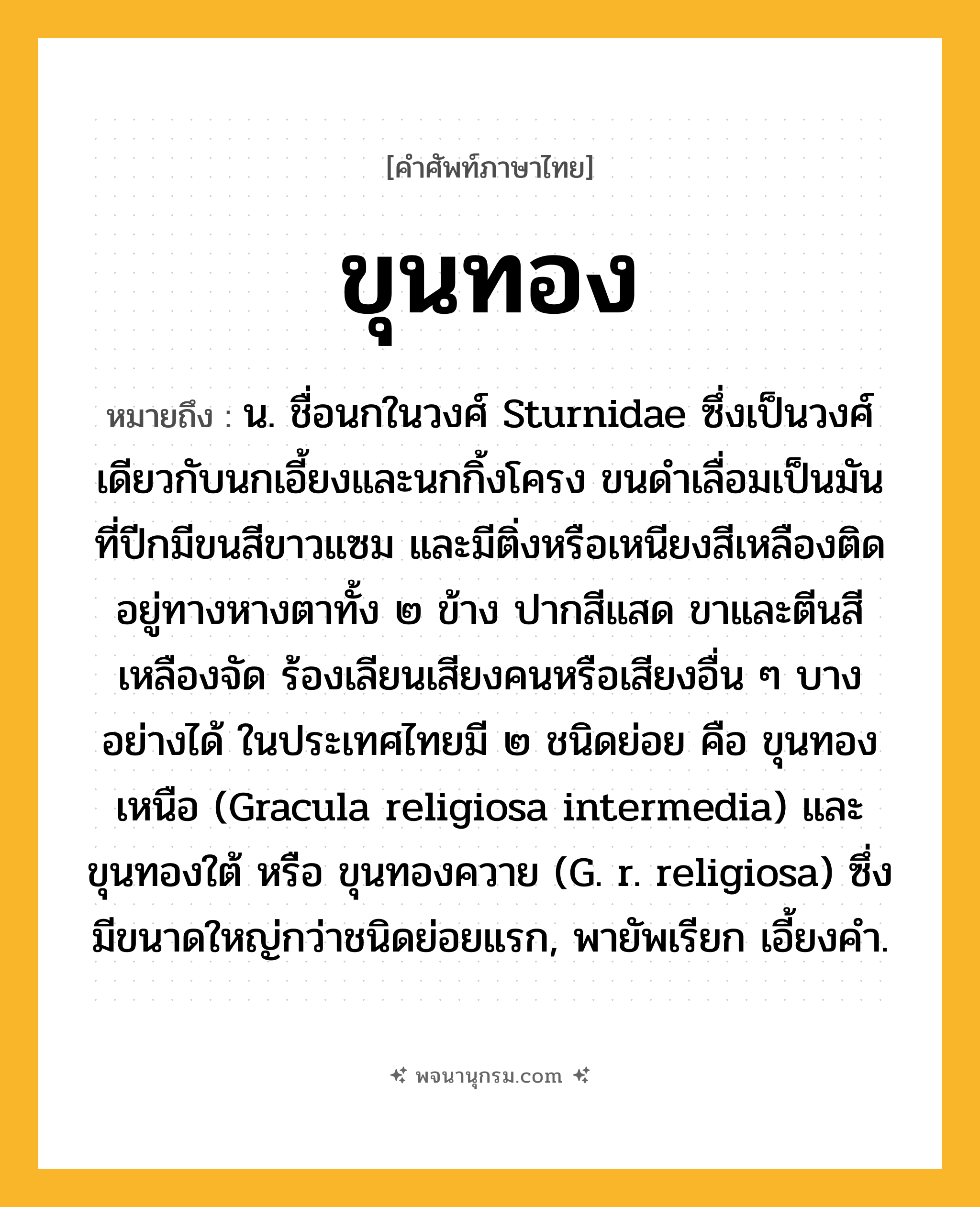 ขุนทอง ความหมาย หมายถึงอะไร?, คำในภาษาไทย ขุนทอง หมายถึง น. ชื่อนกในวงศ์ Sturnidae ซึ่งเป็นวงศ์เดียวกับนกเอี้ยงและนกกิ้งโครง ขนดําเลื่อมเป็นมัน ที่ปีกมีขนสีขาวแซม และมีติ่งหรือเหนียงสีเหลืองติดอยู่ทางหางตาทั้ง ๒ ข้าง ปากสีแสด ขาและตีนสีเหลืองจัด ร้องเลียนเสียงคนหรือเสียงอื่น ๆ บางอย่างได้ ในประเทศไทยมี ๒ ชนิดย่อย คือ ขุนทองเหนือ (Gracula religiosa intermedia) และ ขุนทองใต้ หรือ ขุนทองควาย (G. r. religiosa) ซึ่งมีขนาดใหญ่กว่าชนิดย่อยแรก, พายัพเรียก เอี้ยงคํา.