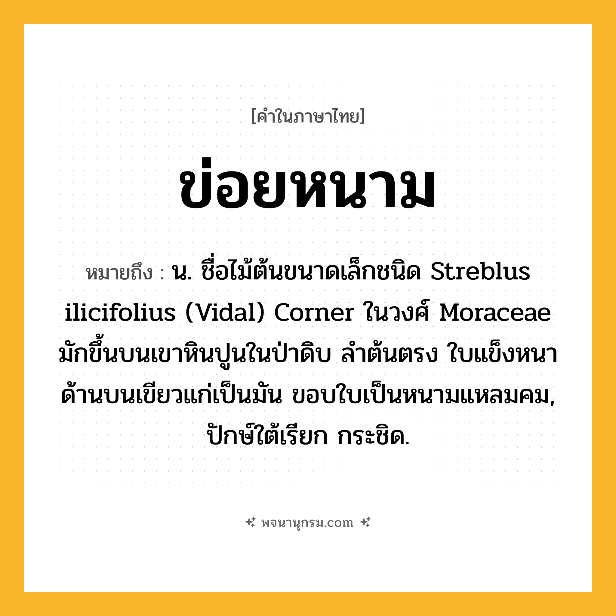 ข่อยหนาม ความหมาย หมายถึงอะไร?, คำในภาษาไทย ข่อยหนาม หมายถึง น. ชื่อไม้ต้นขนาดเล็กชนิด Streblus ilicifolius (Vidal) Corner ในวงศ์ Moraceae มักขึ้นบนเขาหินปูนในป่าดิบ ลําต้นตรง ใบแข็งหนา ด้านบนเขียวแก่เป็นมัน ขอบใบเป็นหนามแหลมคม, ปักษ์ใต้เรียก กระชิด.