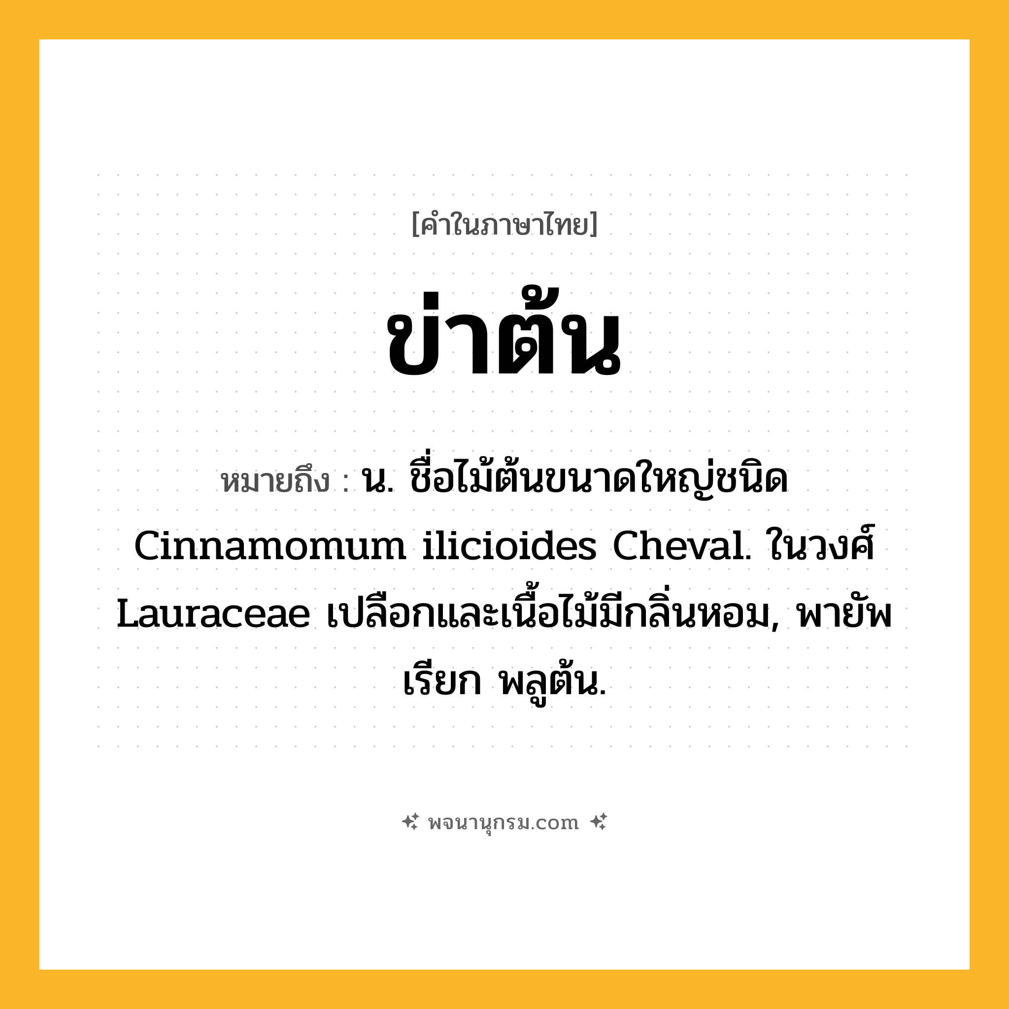 ข่าต้น ความหมาย หมายถึงอะไร?, คำในภาษาไทย ข่าต้น หมายถึง น. ชื่อไม้ต้นขนาดใหญ่ชนิด Cinnamomum ilicioides Cheval. ในวงศ์ Lauraceae เปลือกและเนื้อไม้มีกลิ่นหอม, พายัพเรียก พลูต้น.