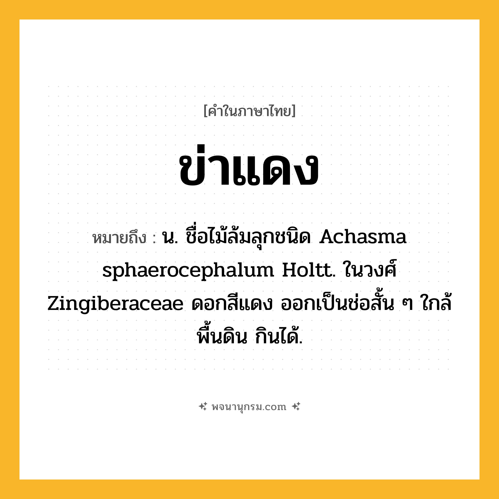 ข่าแดง ความหมาย หมายถึงอะไร?, คำในภาษาไทย ข่าแดง หมายถึง น. ชื่อไม้ล้มลุกชนิด Achasma sphaerocephalum Holtt. ในวงศ์ Zingiberaceae ดอกสีแดง ออกเป็นช่อสั้น ๆ ใกล้พื้นดิน กินได้.