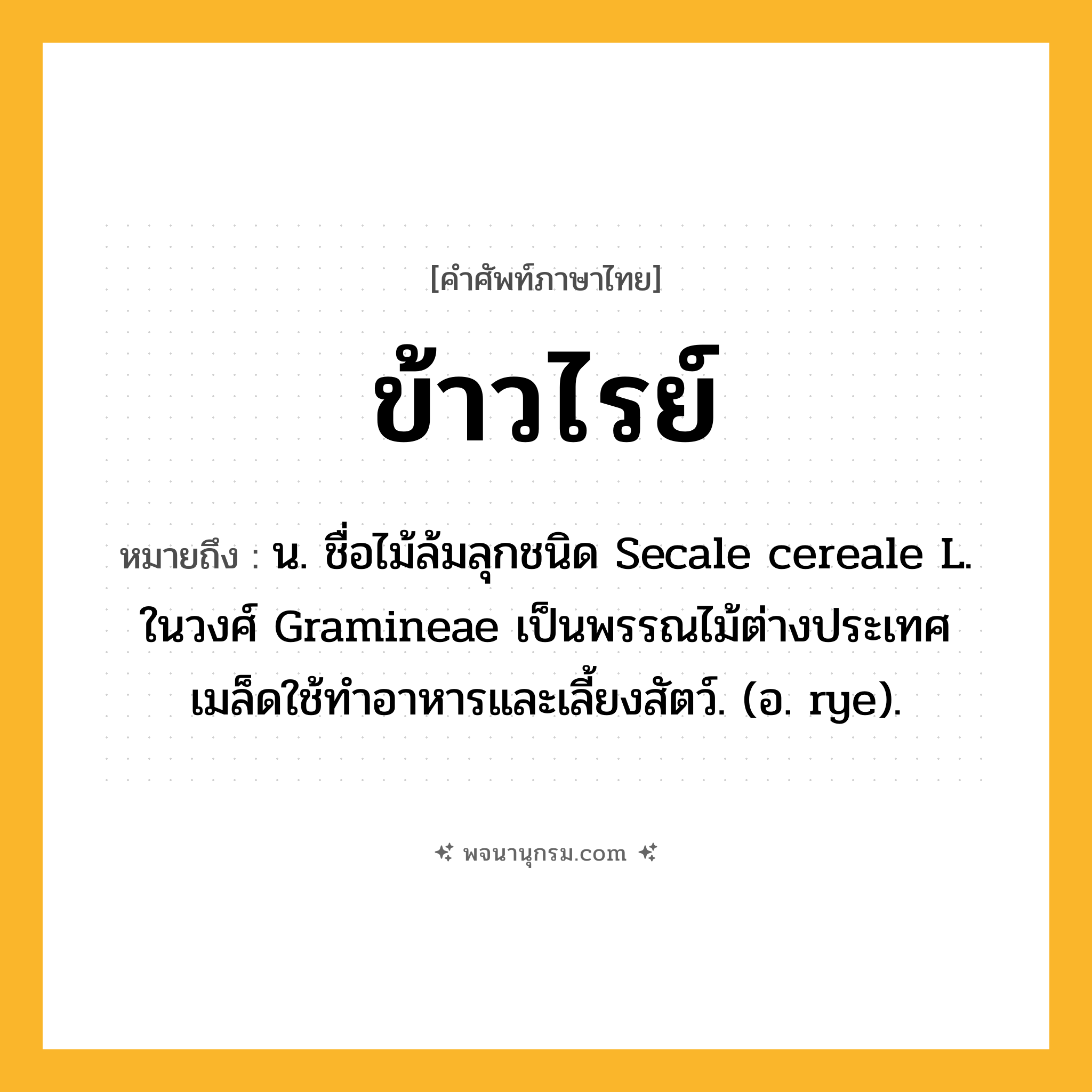 ข้าวไรย์ ความหมาย หมายถึงอะไร?, คำในภาษาไทย ข้าวไรย์ หมายถึง น. ชื่อไม้ล้มลุกชนิด Secale cereale L. ในวงศ์ Gramineae เป็นพรรณไม้ต่างประเทศ เมล็ดใช้ทําอาหารและเลี้ยงสัตว์. (อ. rye).